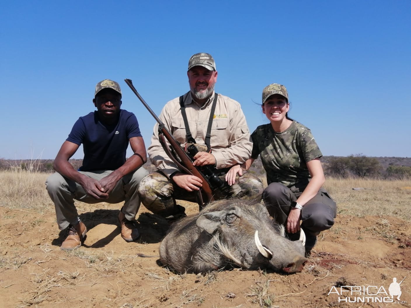 Warthog Hunt Limpopo South Africa