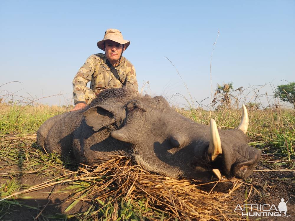 Warthog Hunt Mozambique