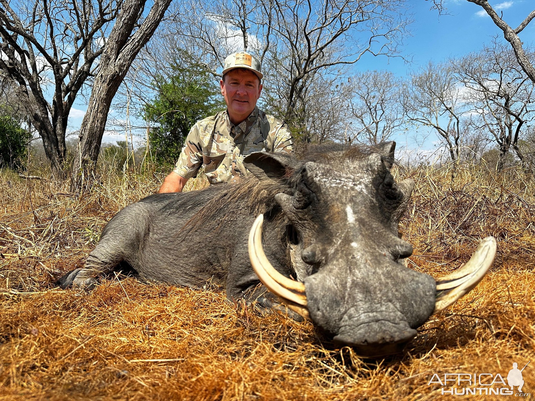 Warthog Hunt Mozambique