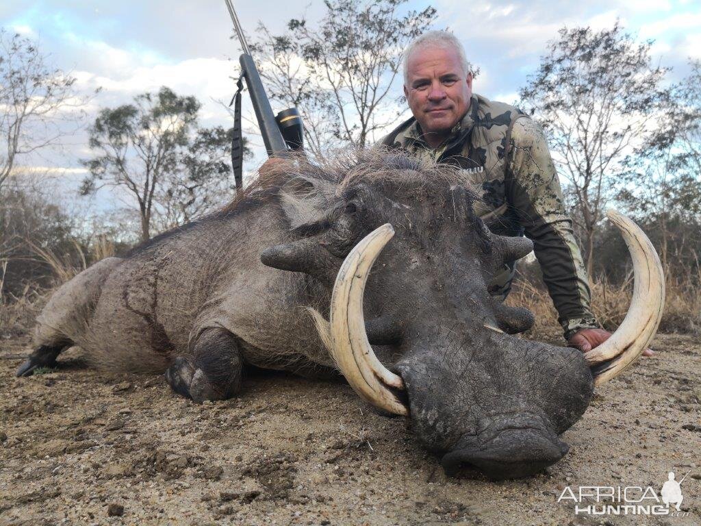 Warthog Hunt Mozambique