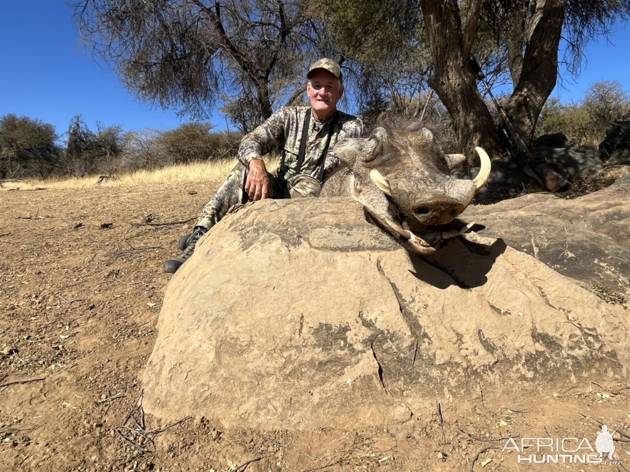 Warthog Hunt Namibia