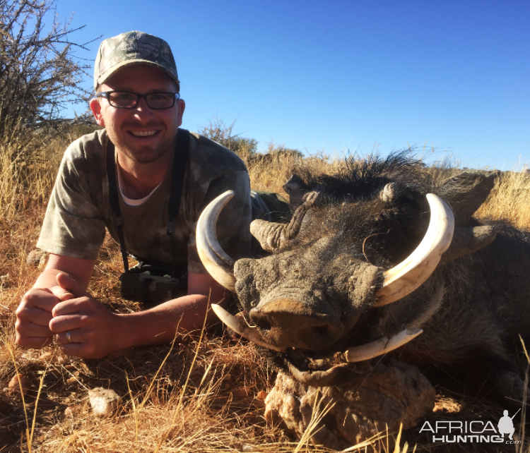 Warthog Hunt Namibia