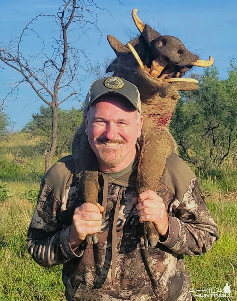 Warthog Hunt Namibia