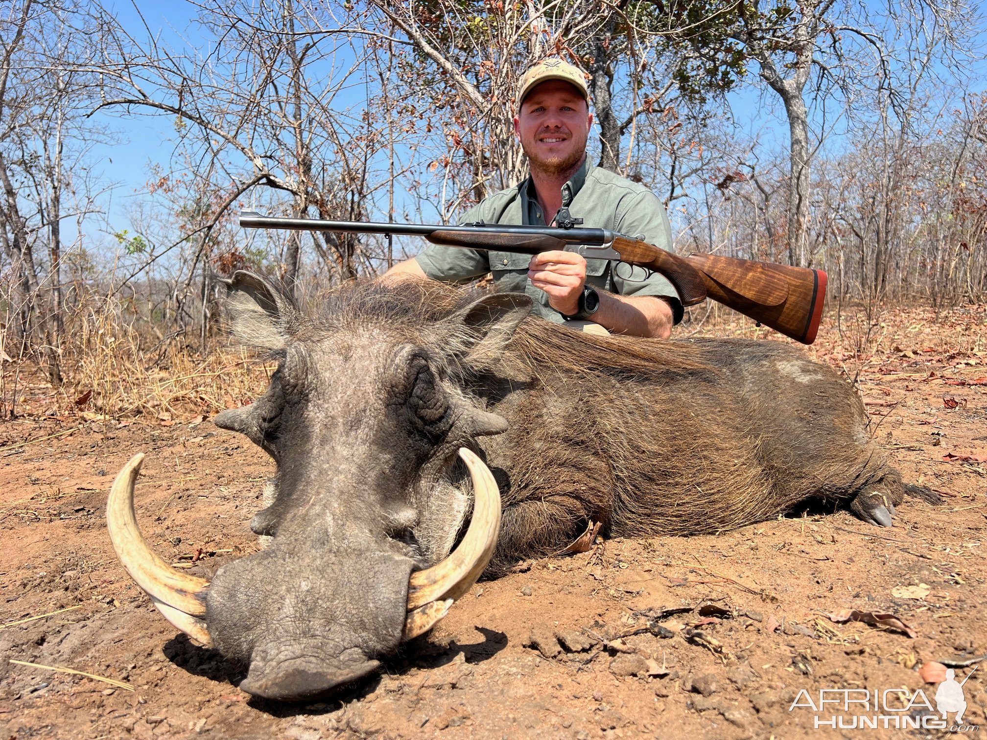 Warthog Hunt Niassa Mozambique