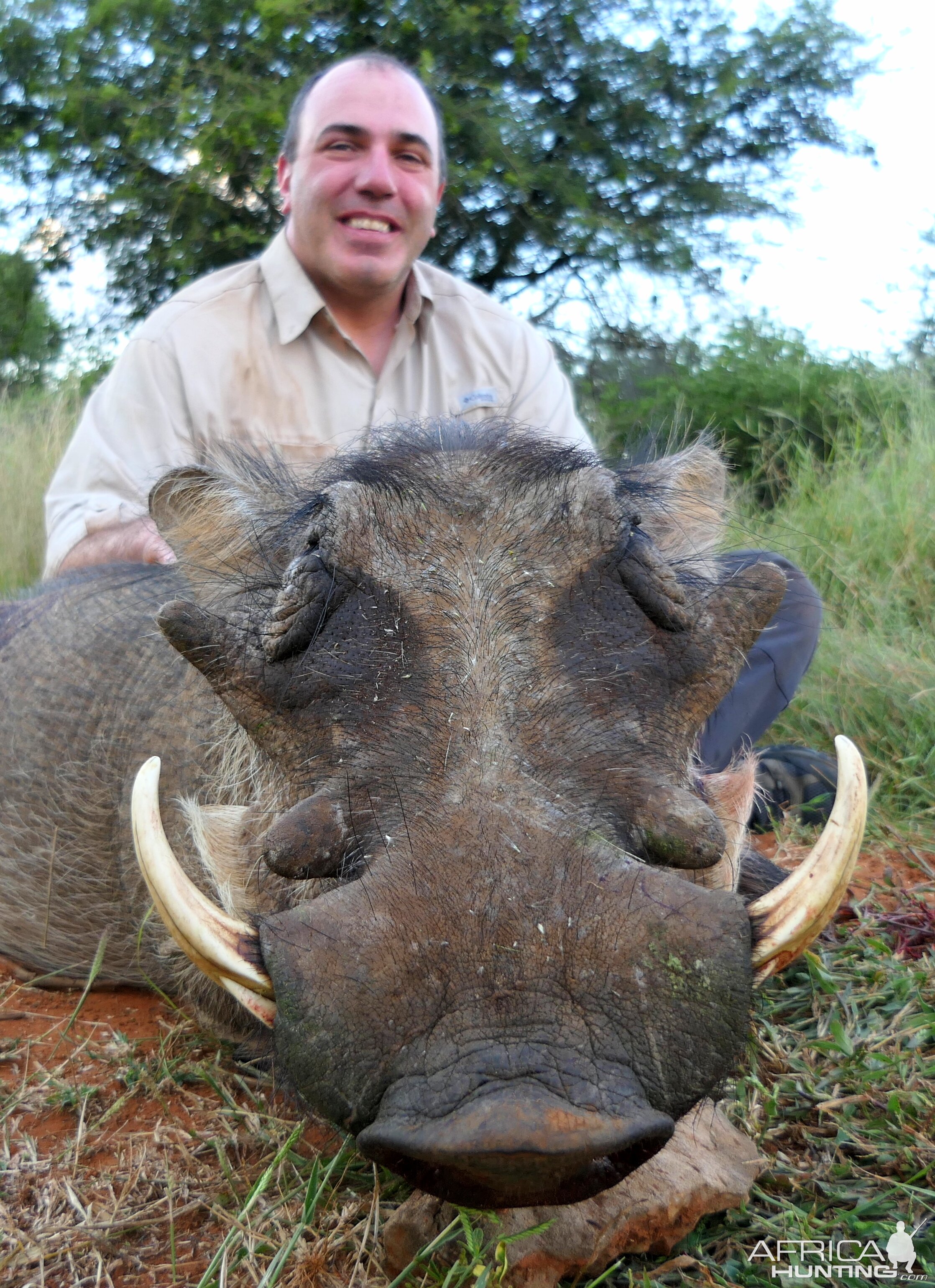 Warthog Hunt South Africa