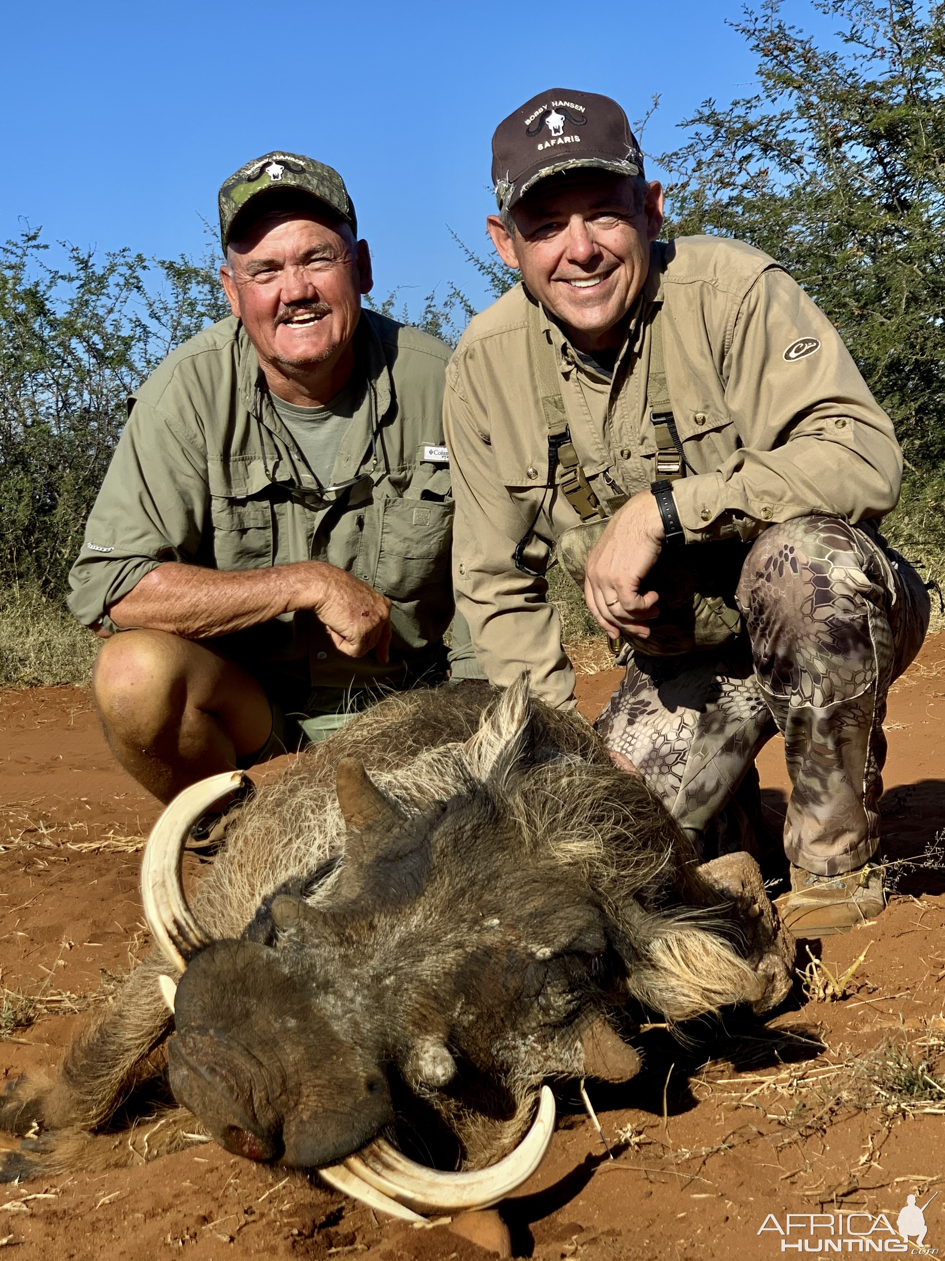 Warthog Hunt South Africa