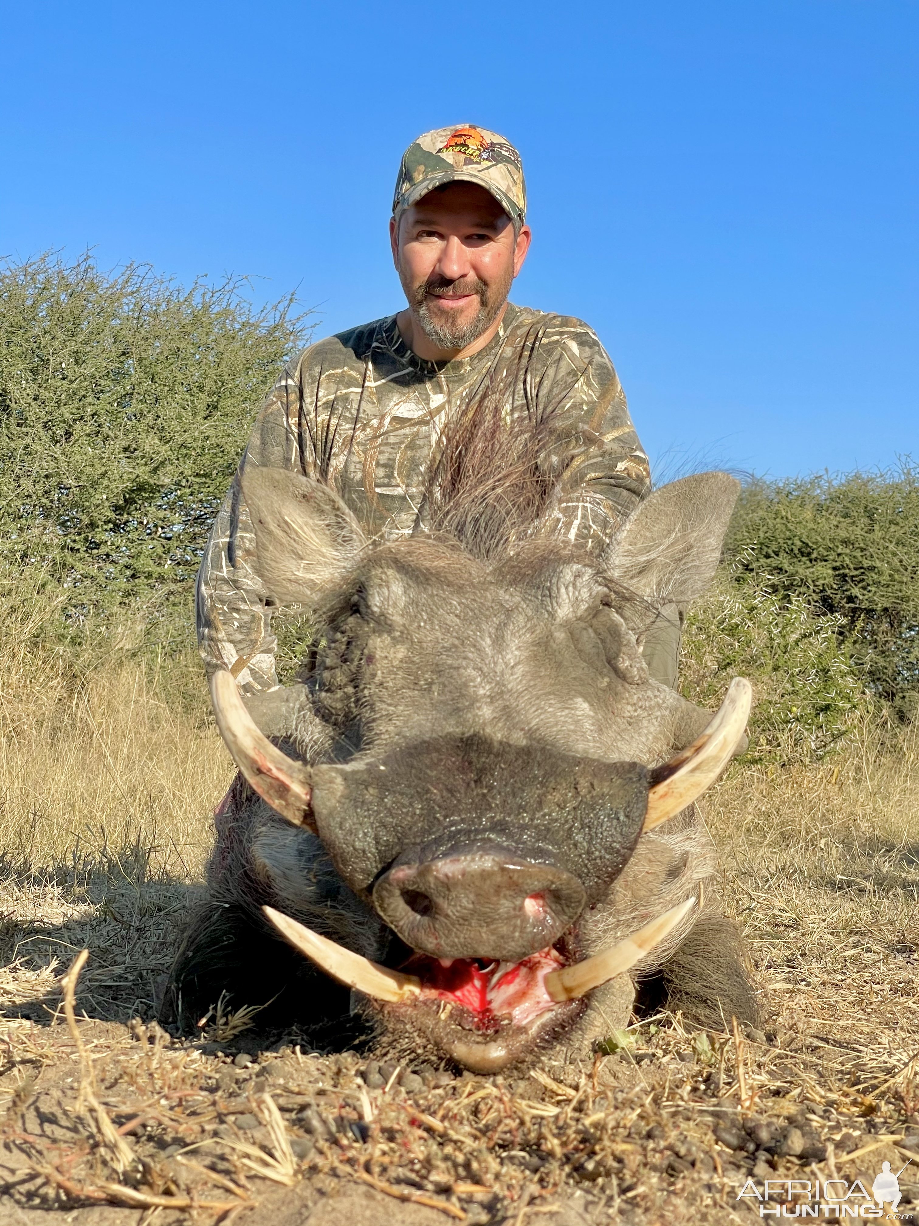 Warthog Hunt South Africa