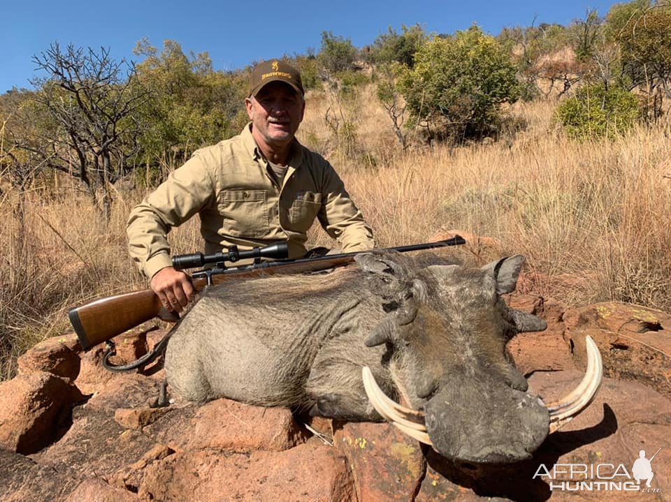 Warthog Hunt South Africa | AfricaHunting.com