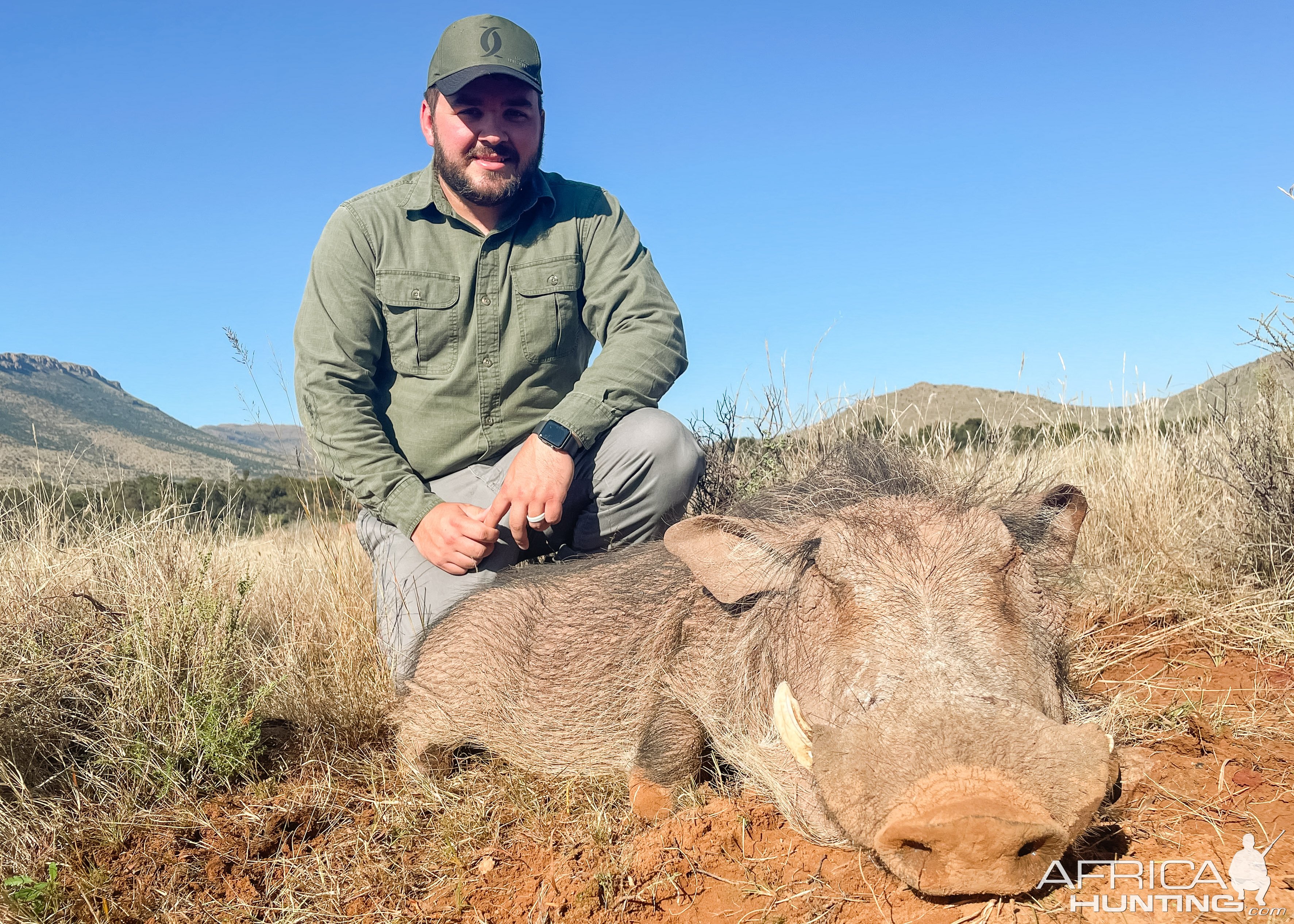 Warthog Hunt South Africa