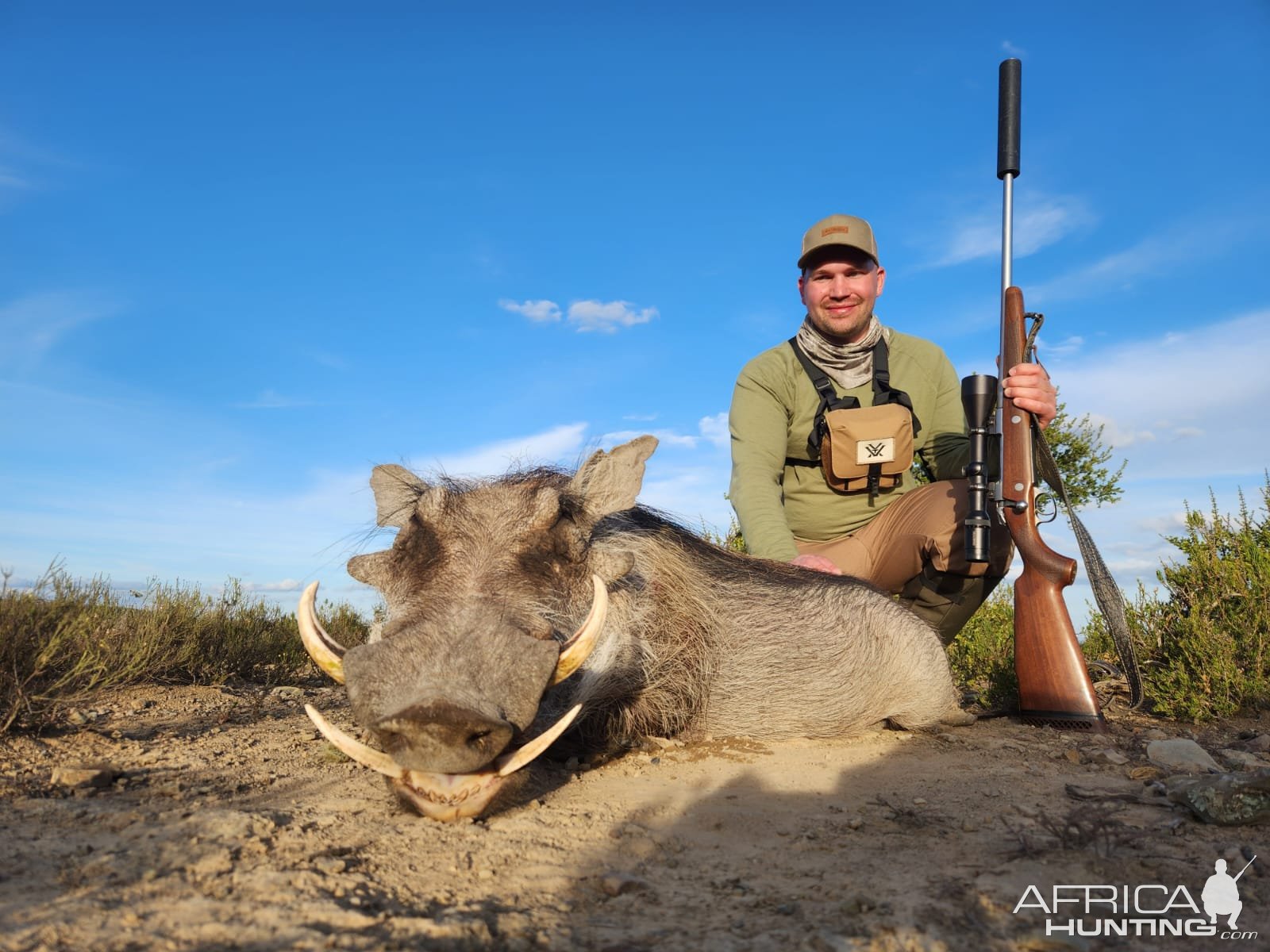 Warthog Hunt South Africa