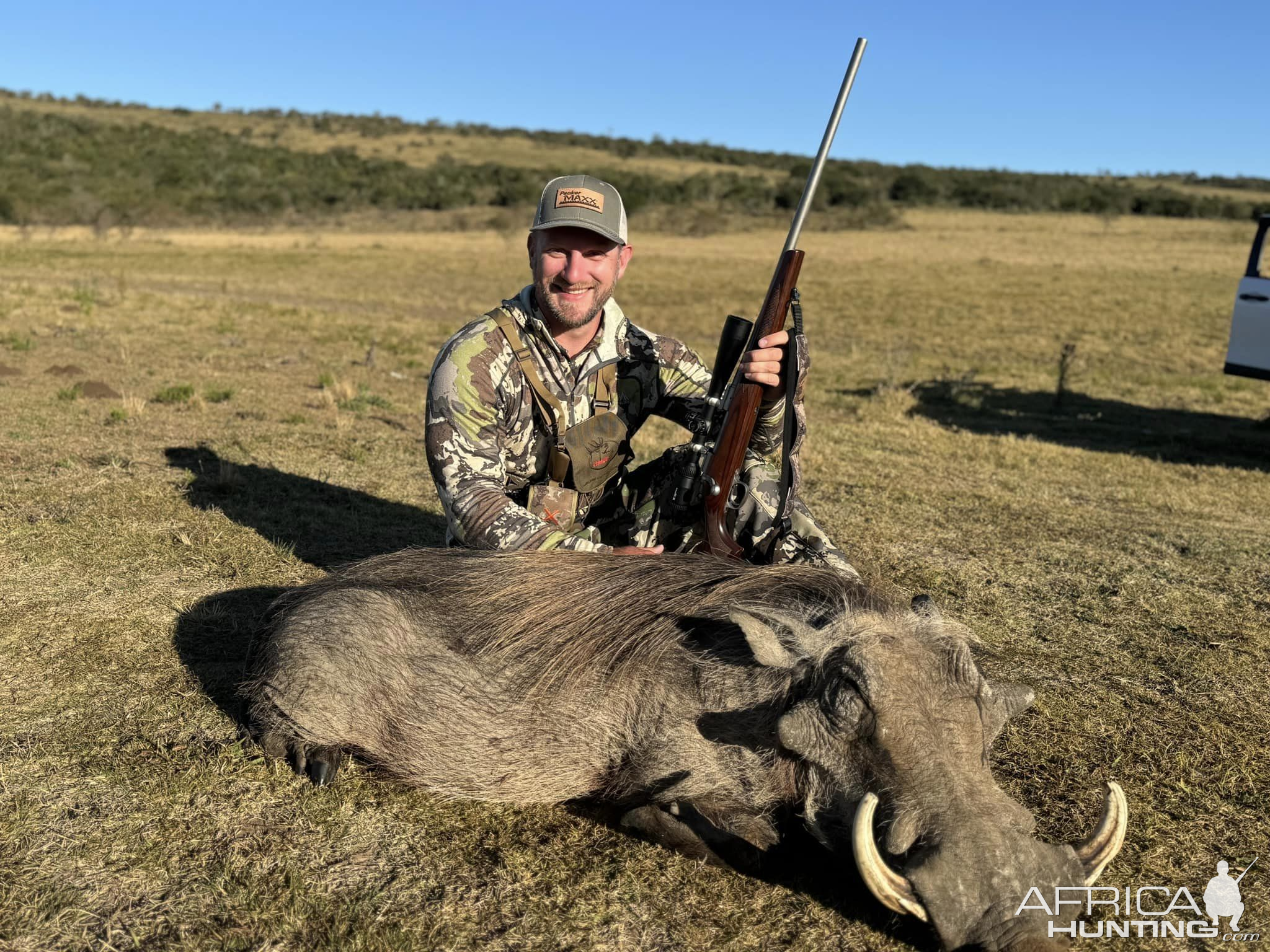 Warthog Hunt South Africa