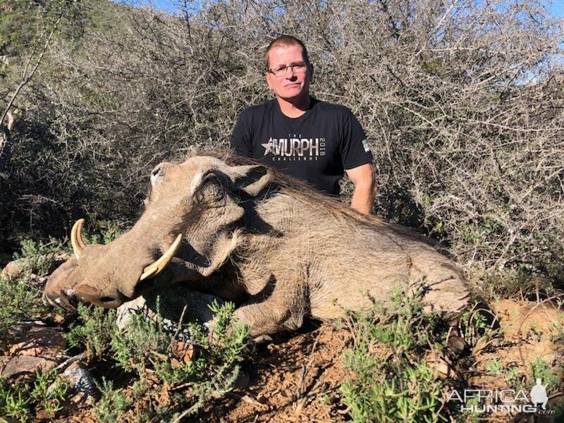 Warthog Hunt South Africa