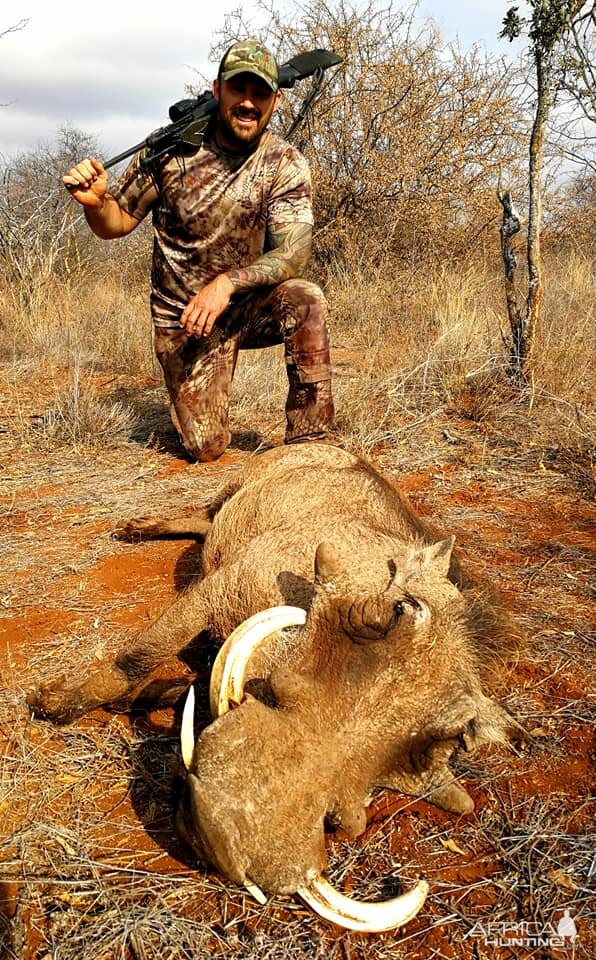 Warthog Hunt South Africa | AfricaHunting.com