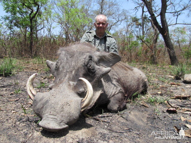 Warthog hunt with CAWA in CAR