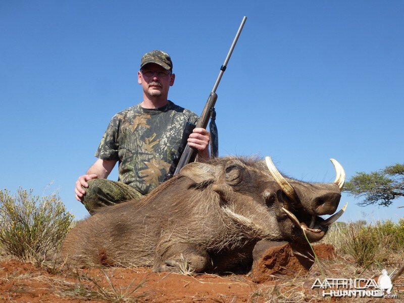 Warthog hunt with Wintershoek Johnny Vivier Safaris