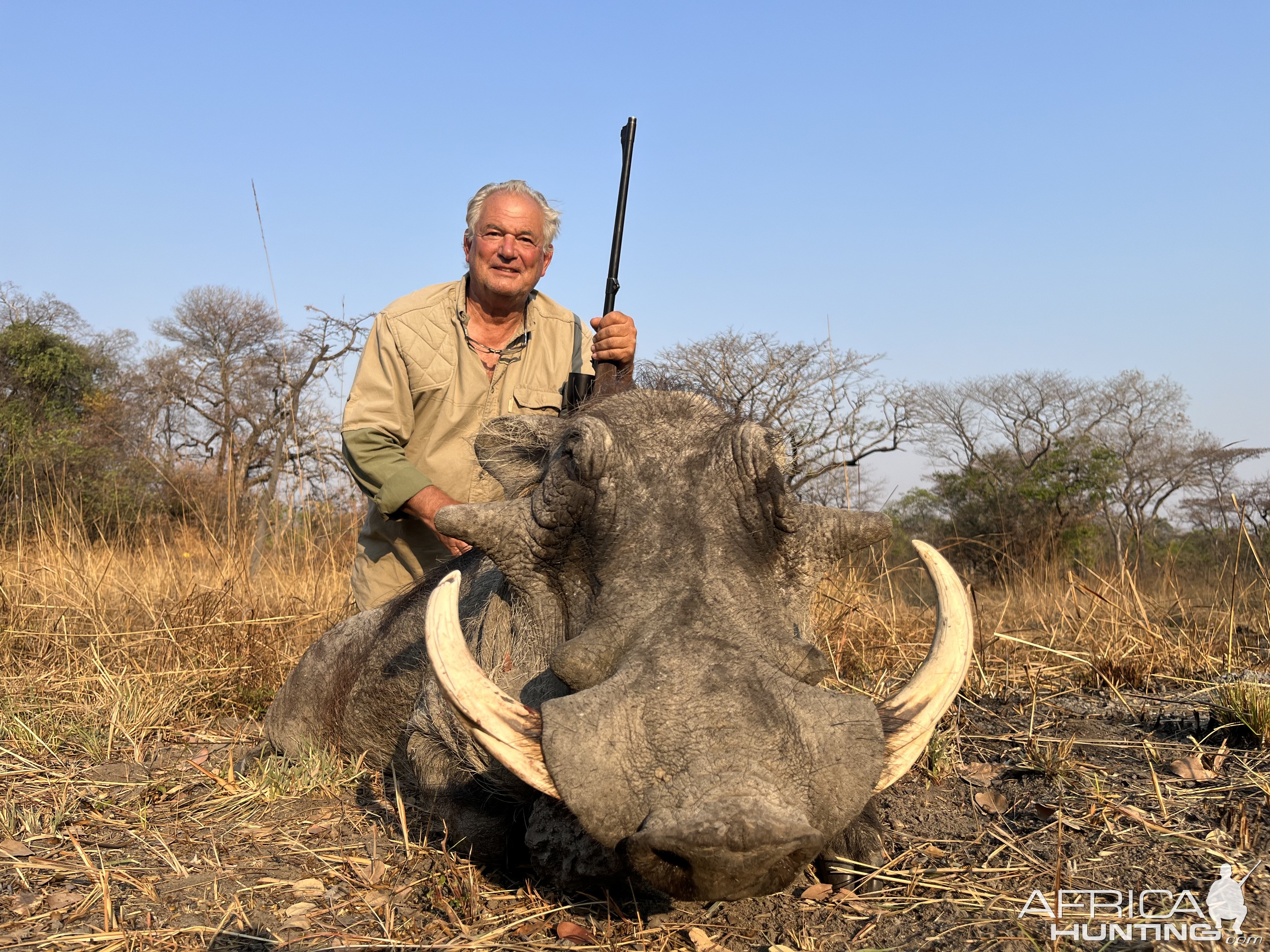 Warthog Hunt Zambia