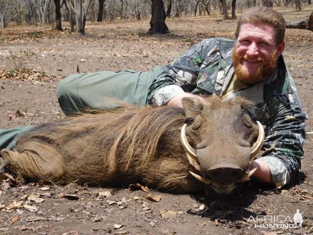 Warthog Hunt