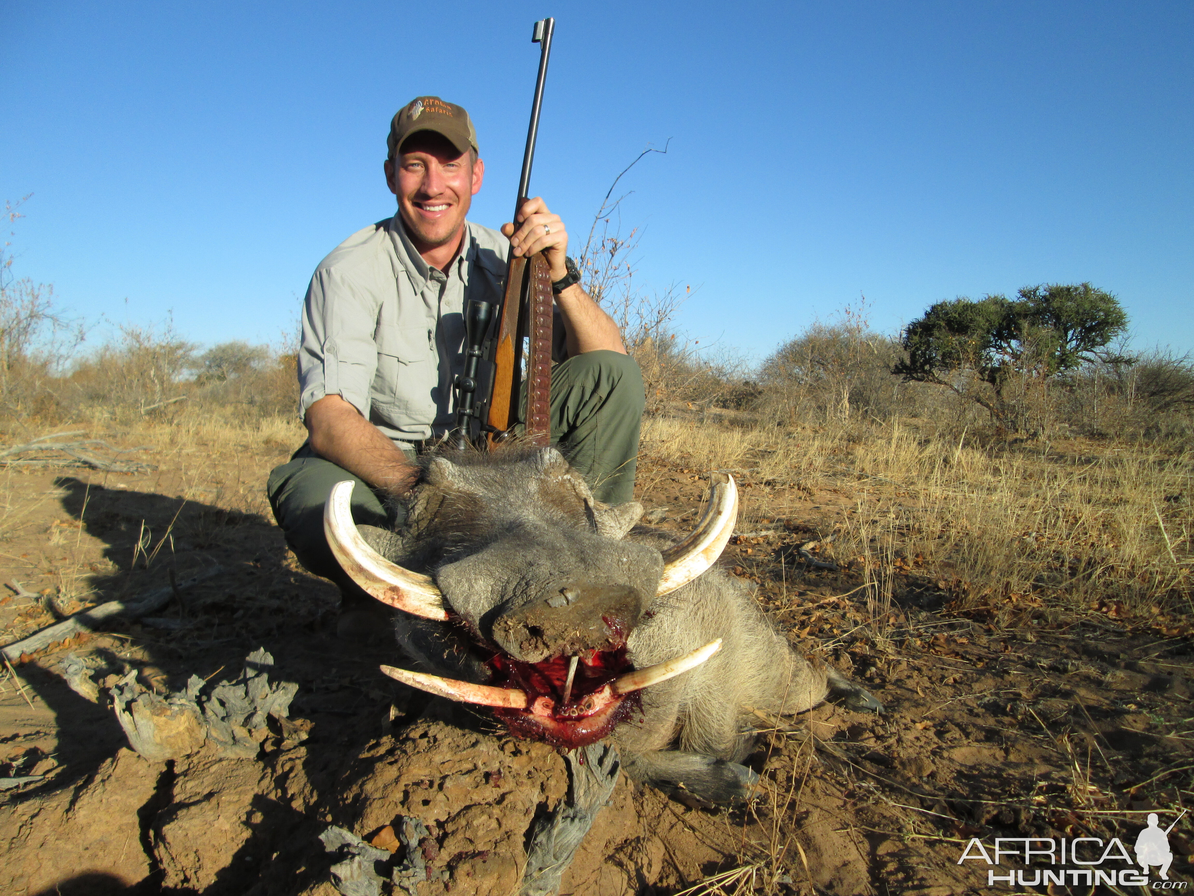 Warthog hunted at Limcroma Safaris