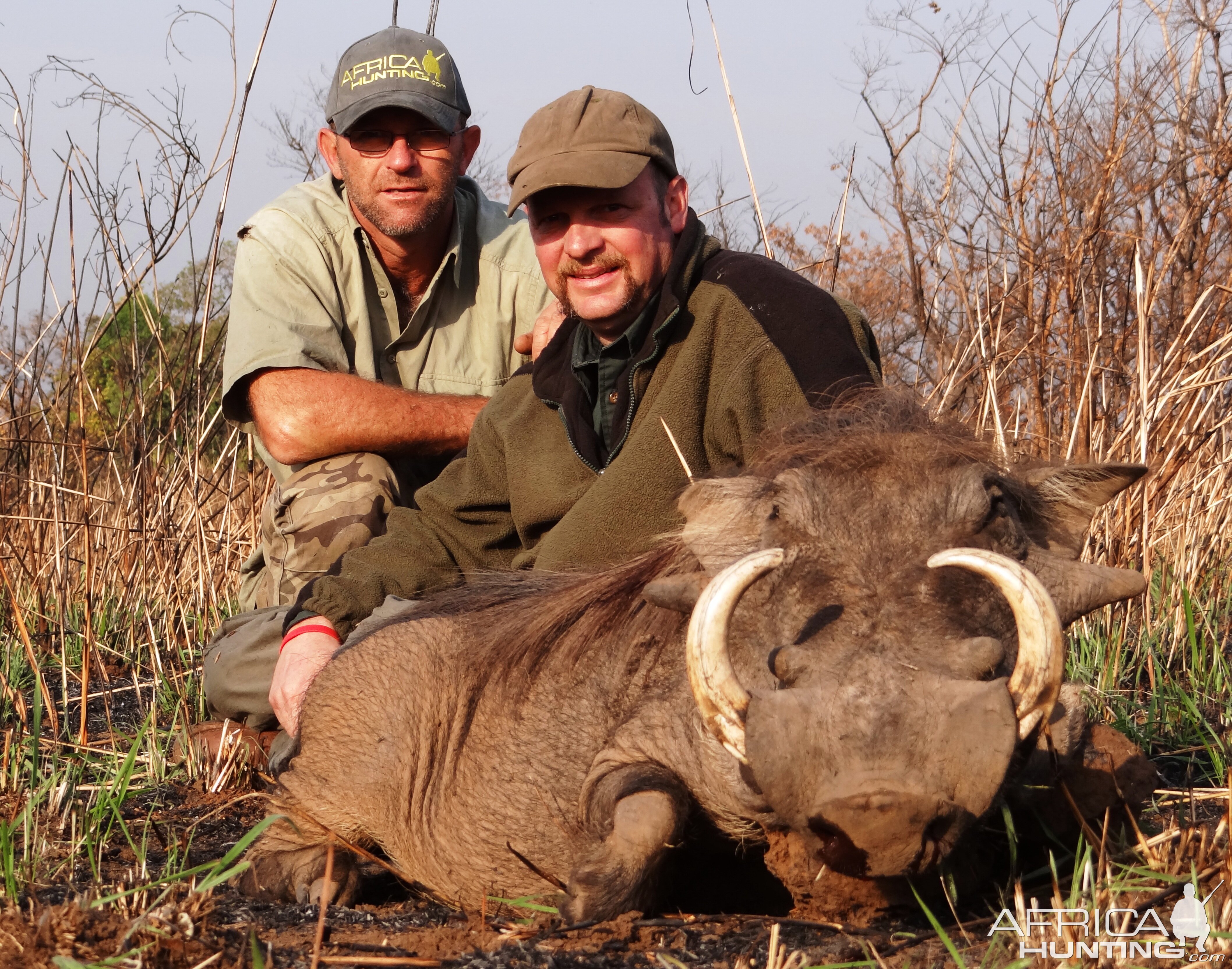 Warthog hunted in CAR