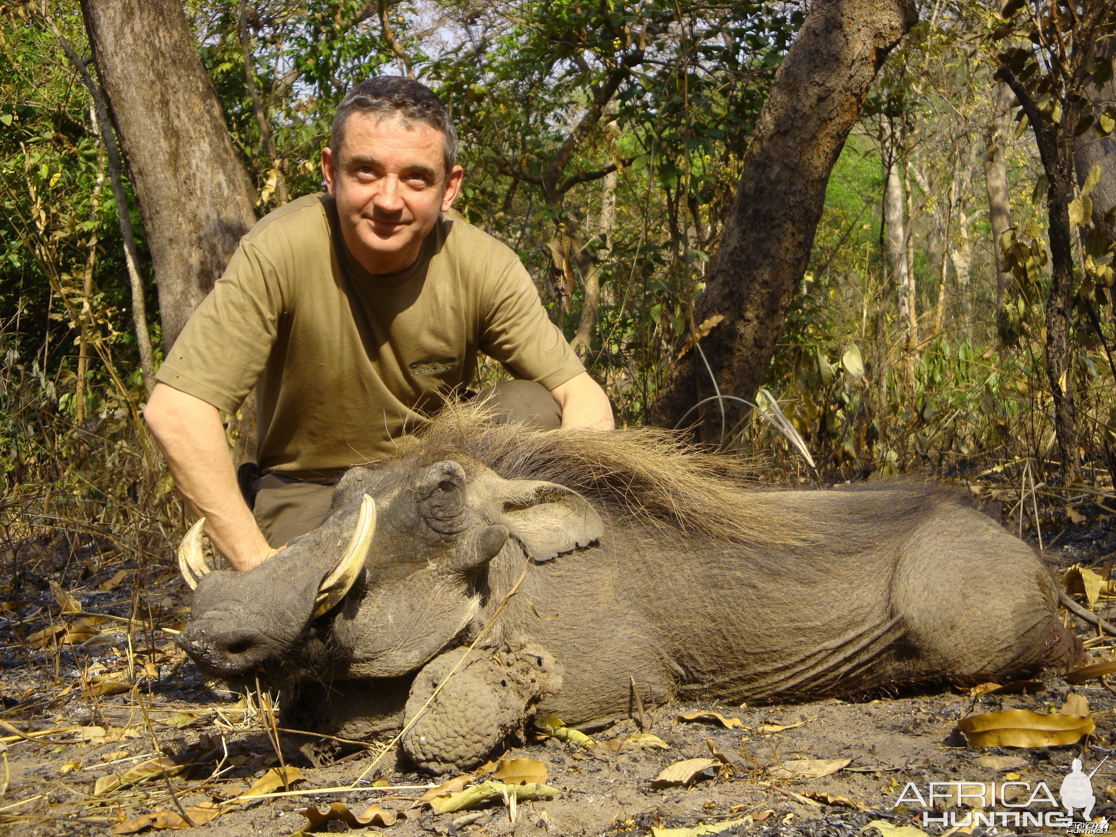 Warthog hunted in Central Africa with Club Faune