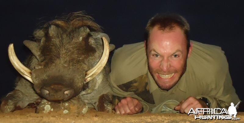 Warthog hunted in Zimbabwe