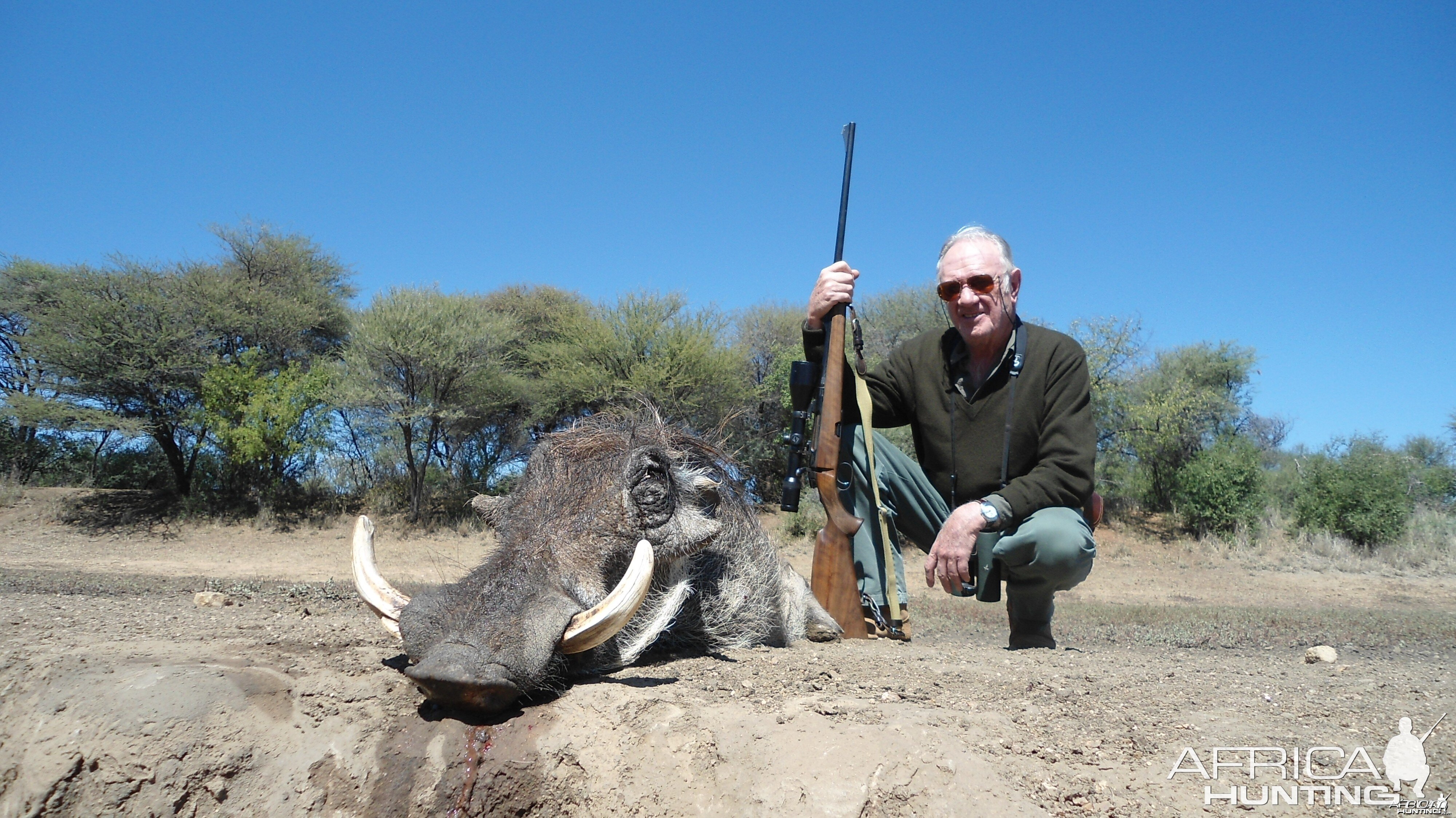 Warthog hunted with Ozondjahe Hunting Safaris in Namibia