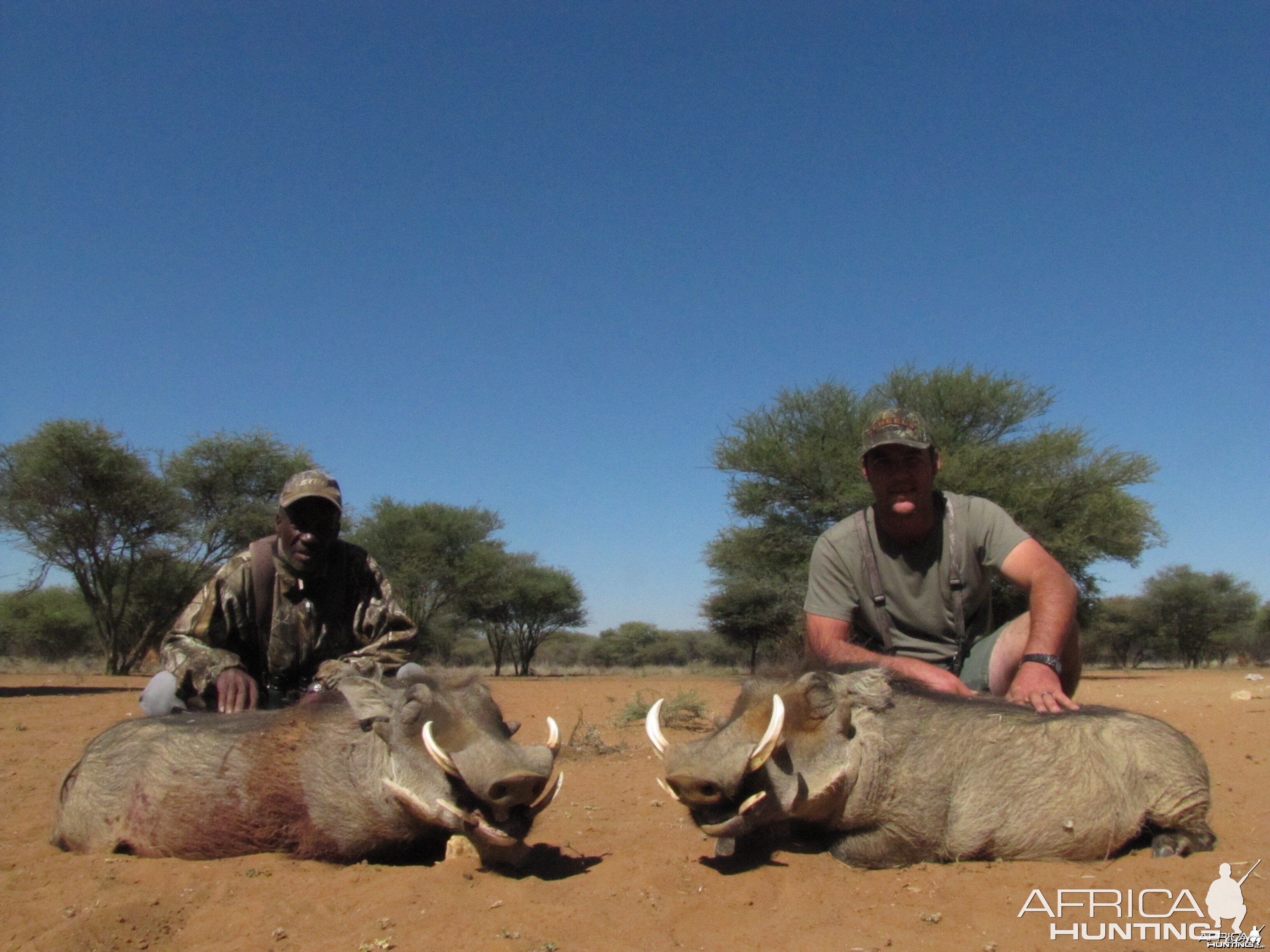 Warthog hunted with Ozondjahe Hunting Safaris in Namibia