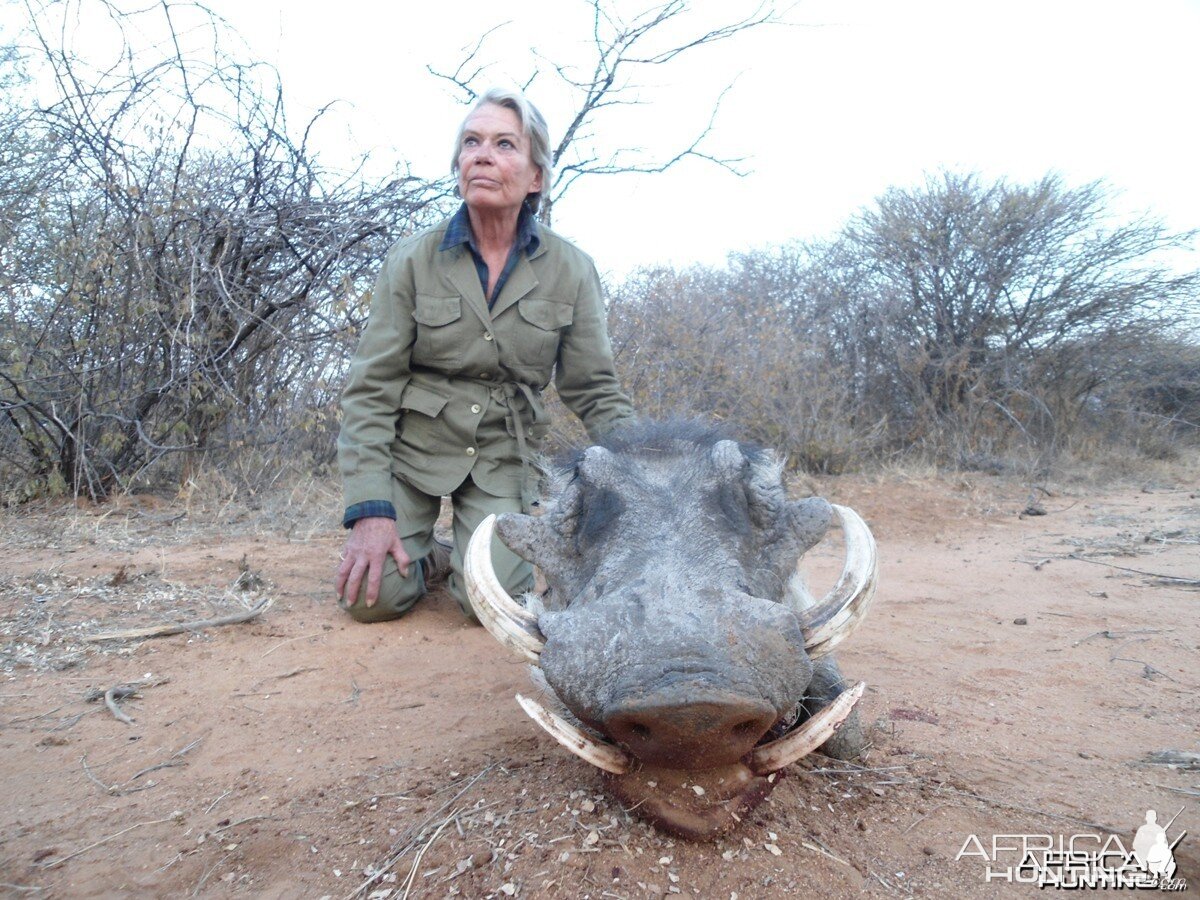 Warthog hunted with Ozondjahe Hunting Safaris in Namibia