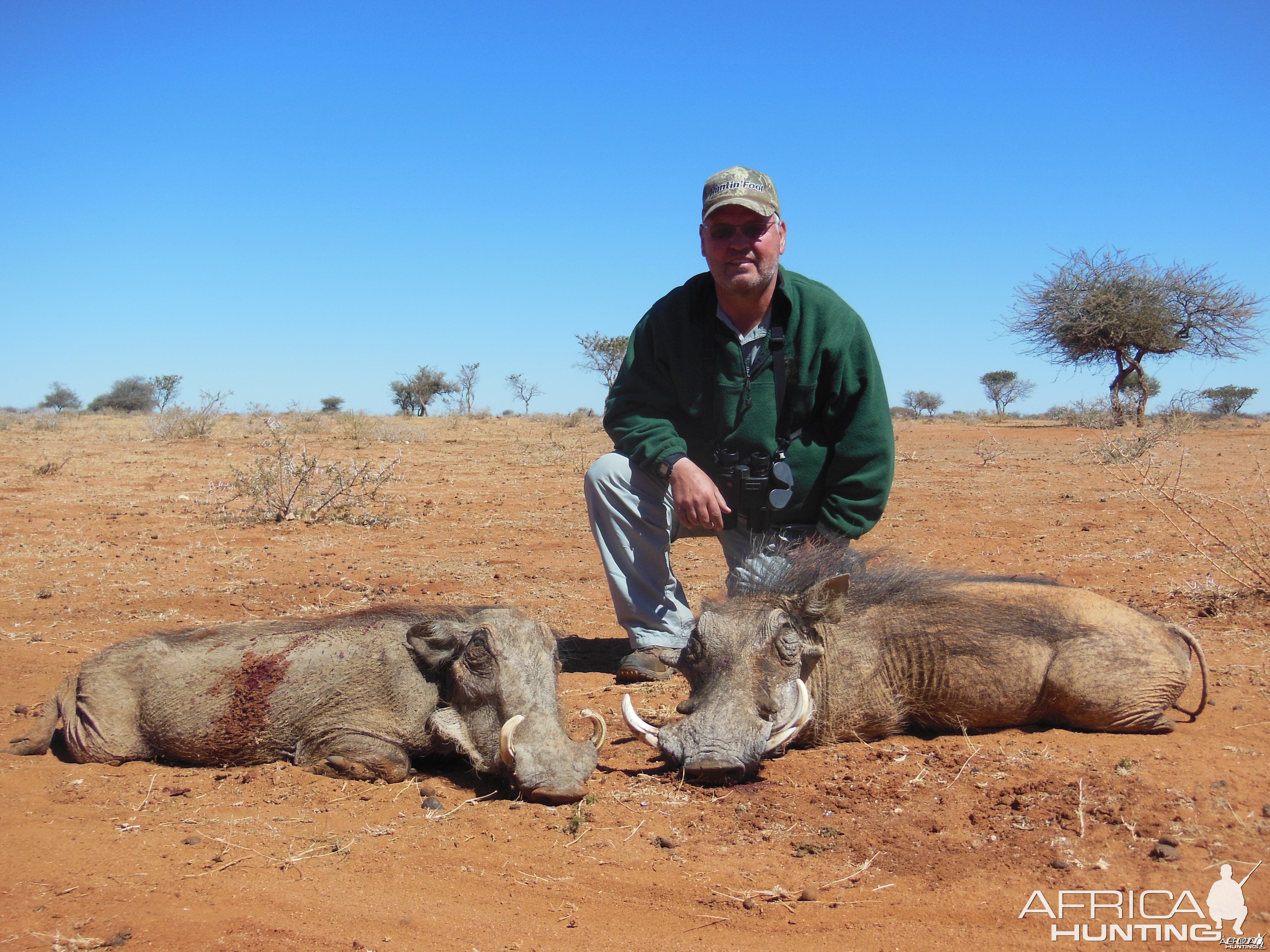 Warthog hunted with Ozondjahe Hunting Safaris in Namibia