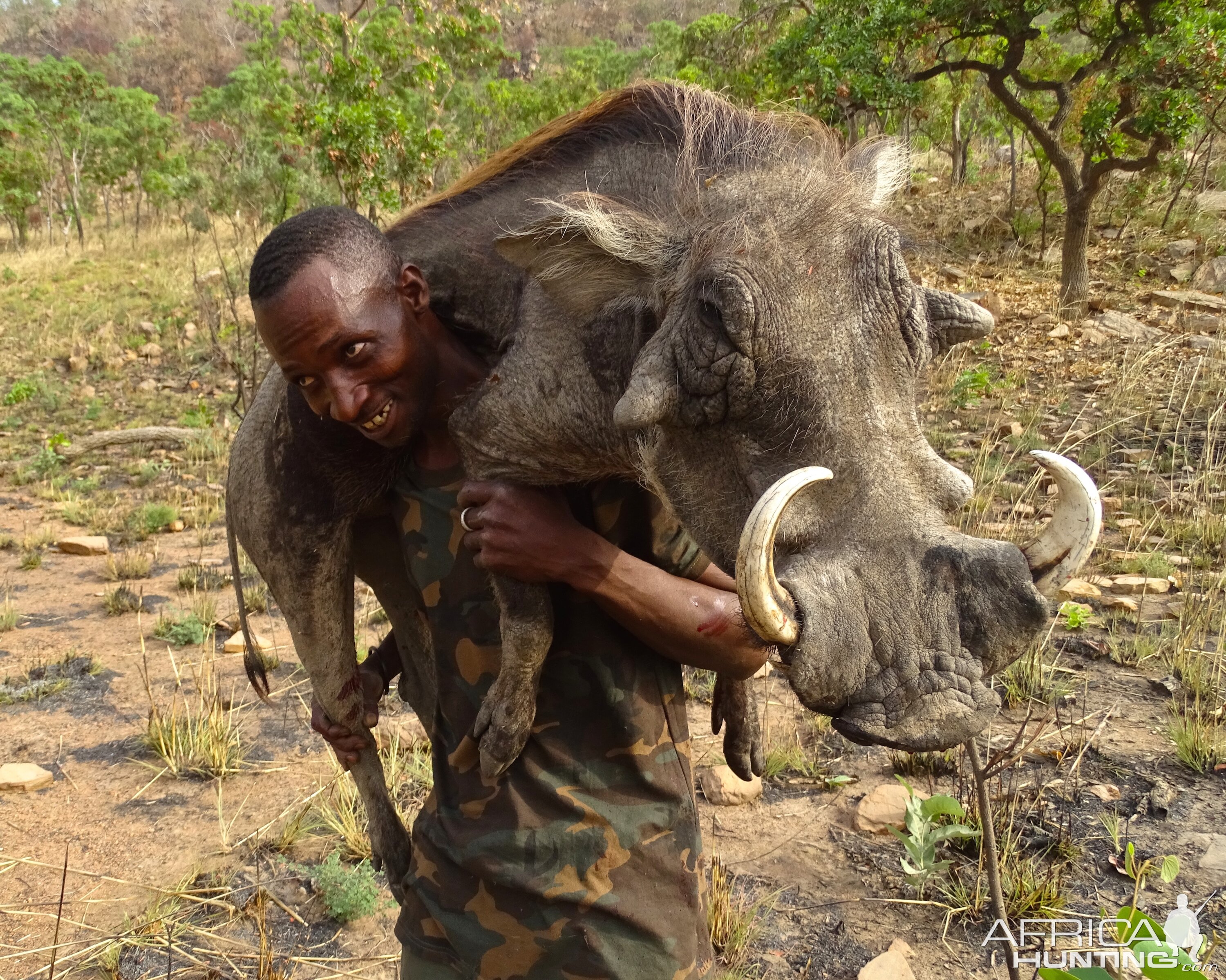 Warthog Hunting Benin