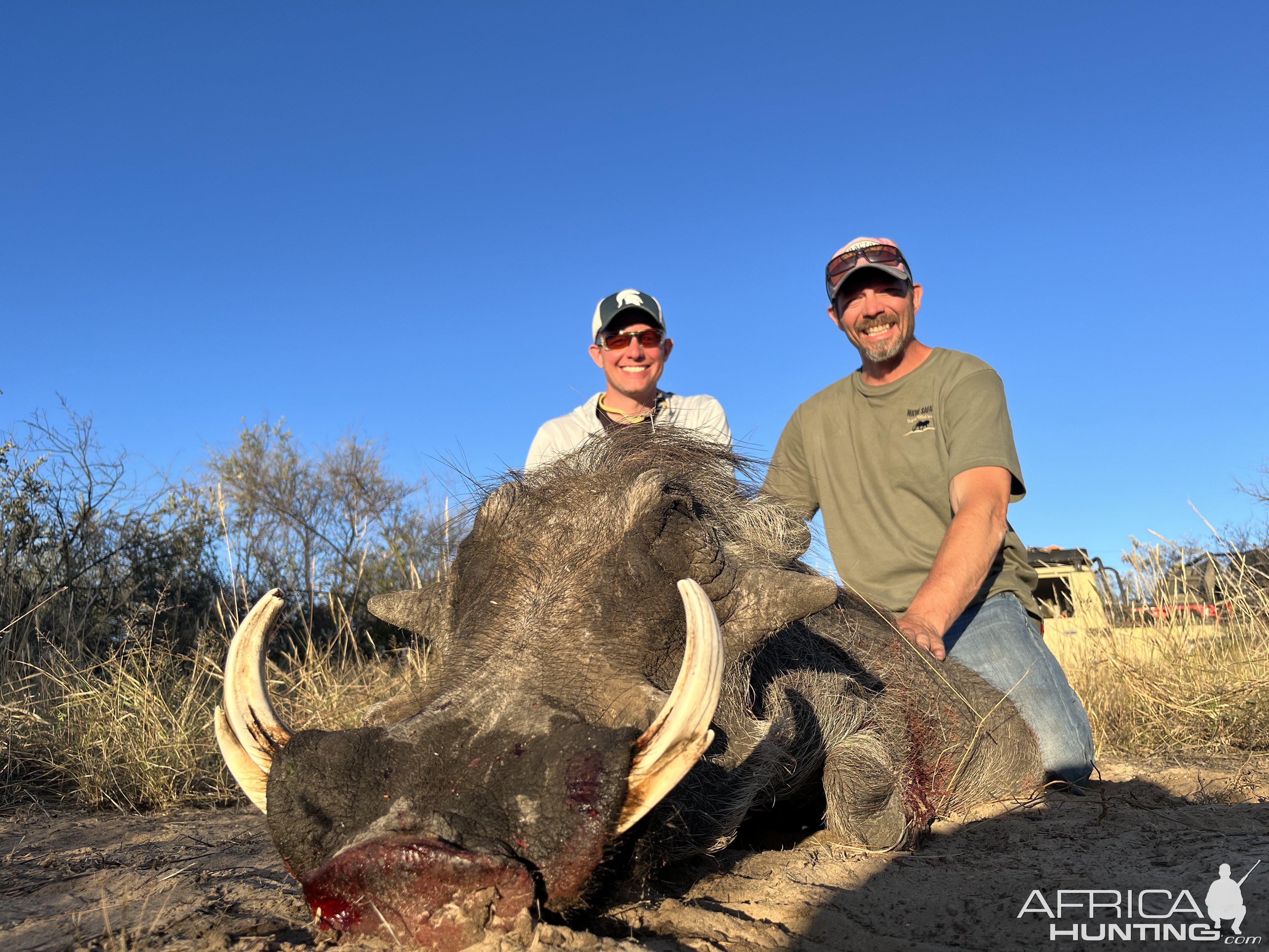 Warthog Hunting Botswana