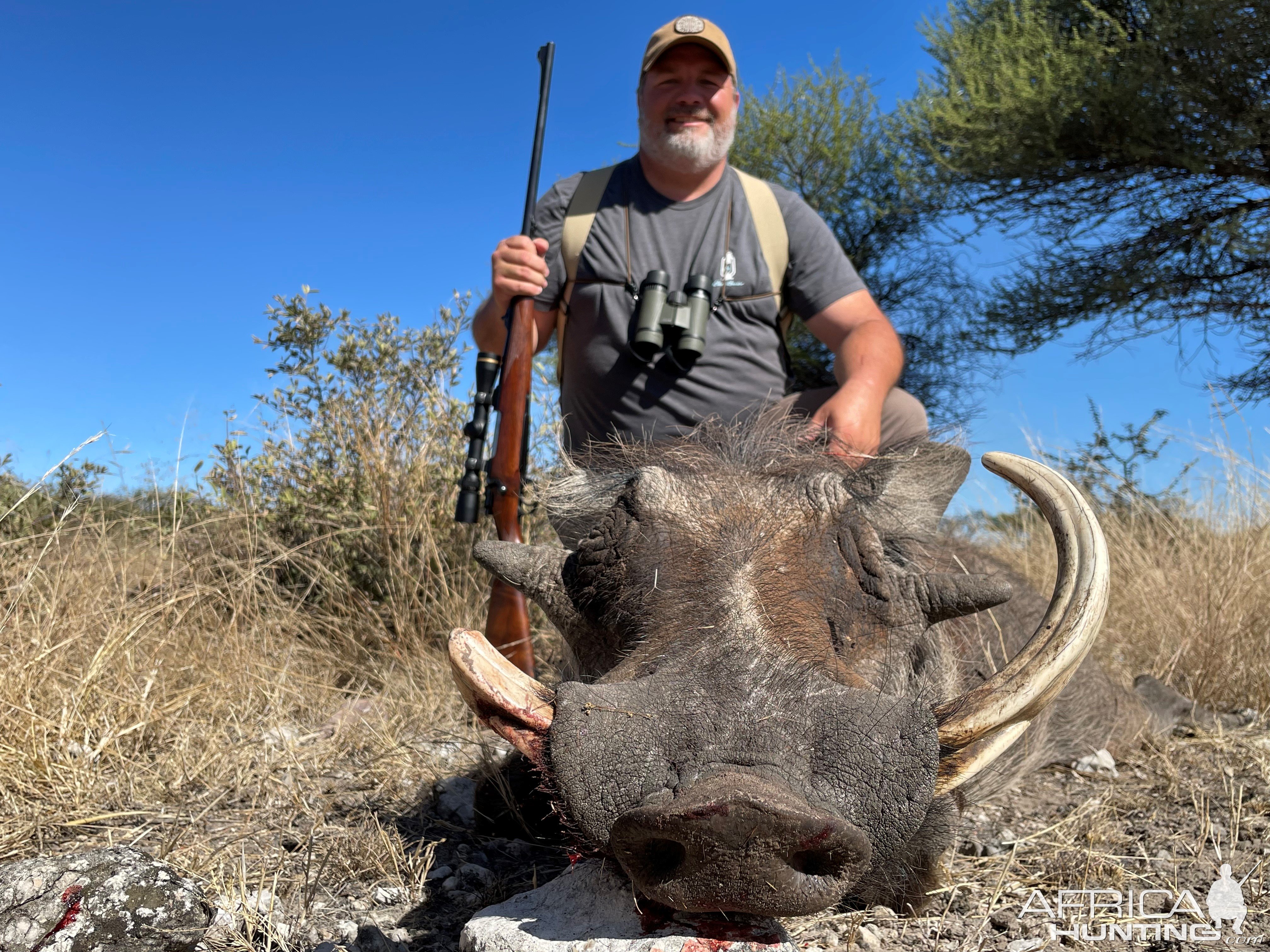 Warthog Hunting Botswana