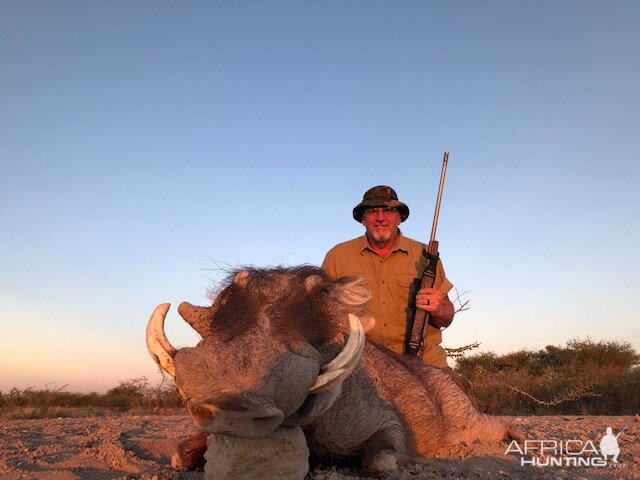 Warthog Hunting Botswana