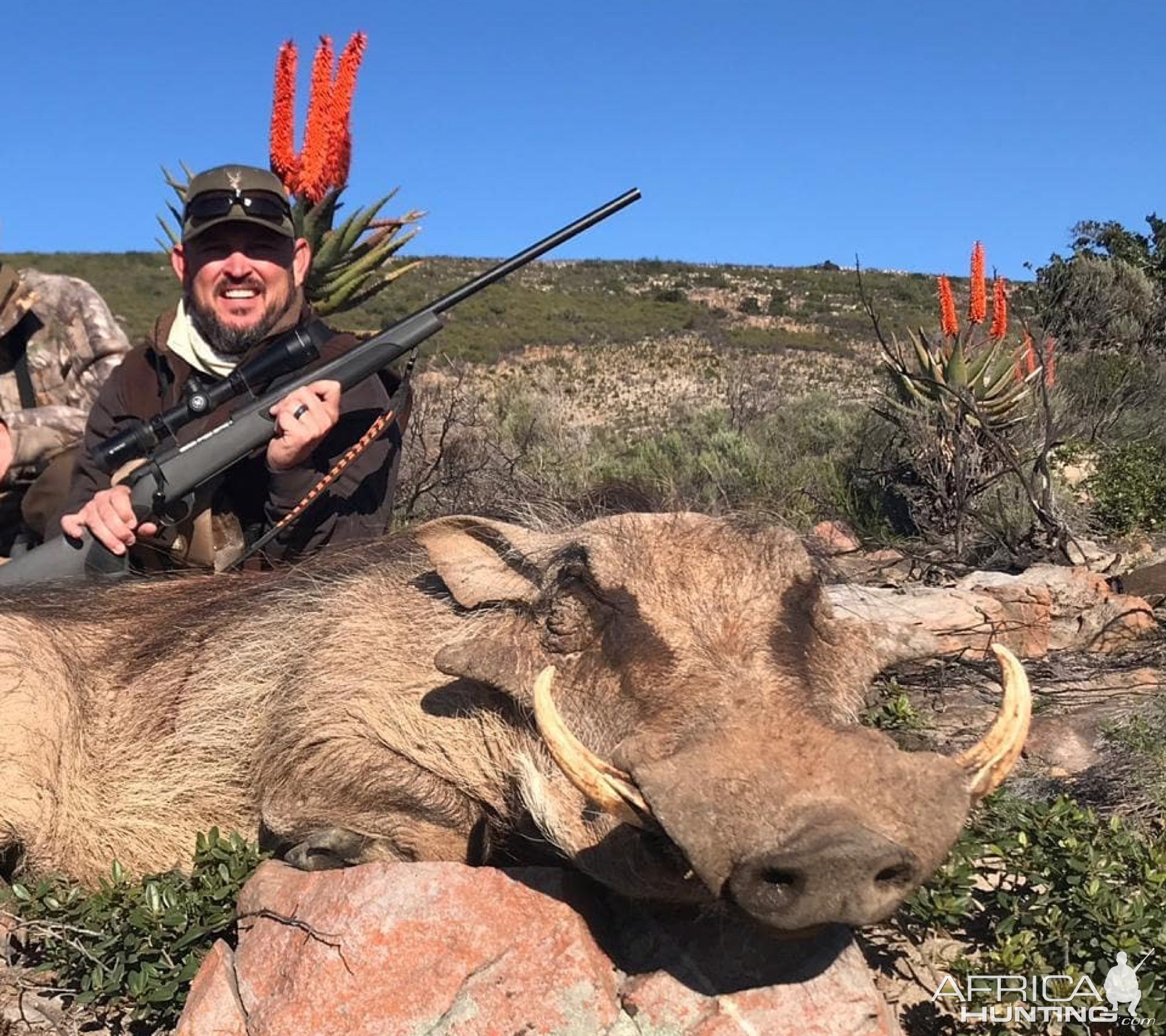 Warthog Hunting Eastern Cape South Africa