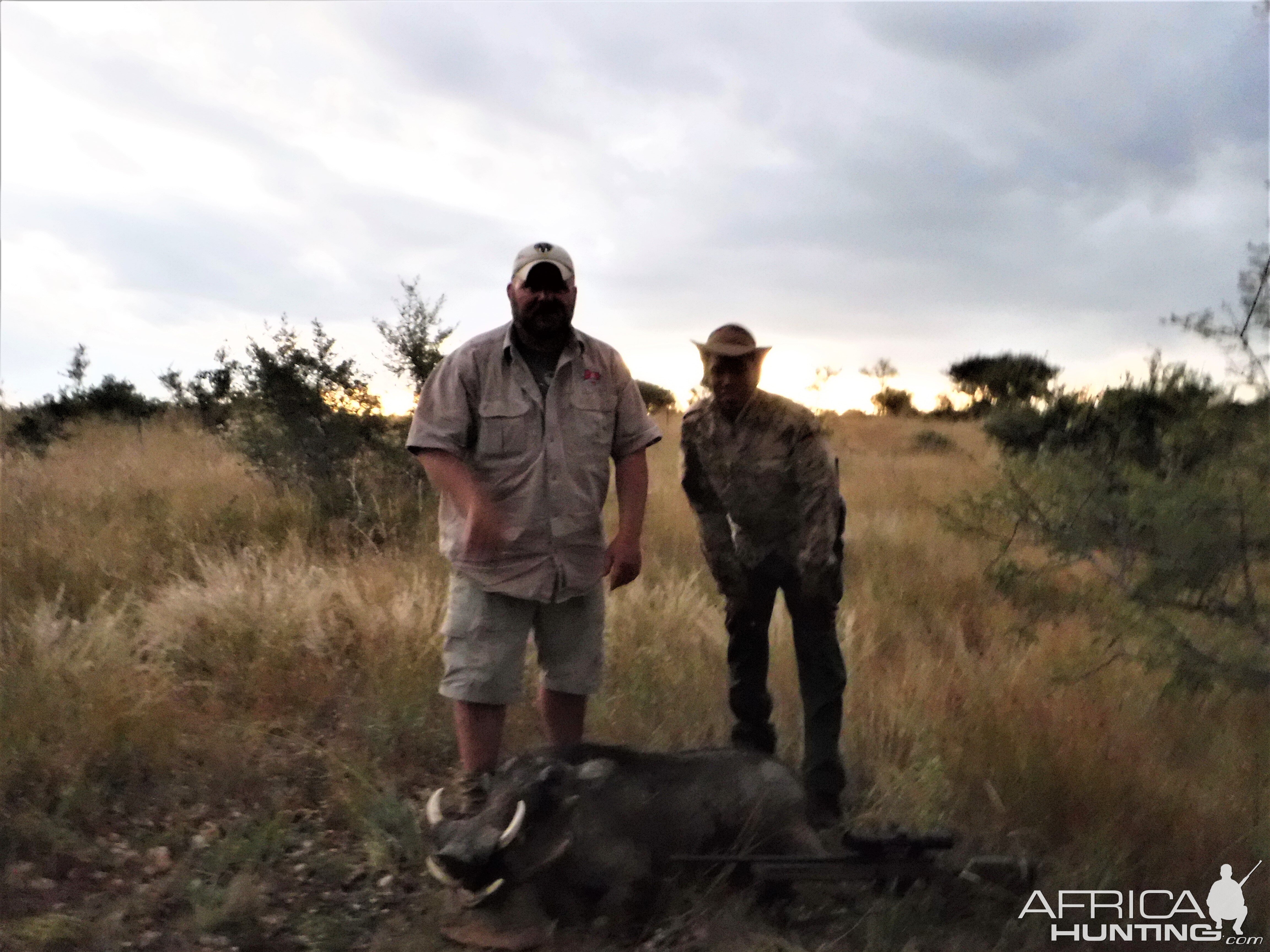 Warthog Hunting Namibia