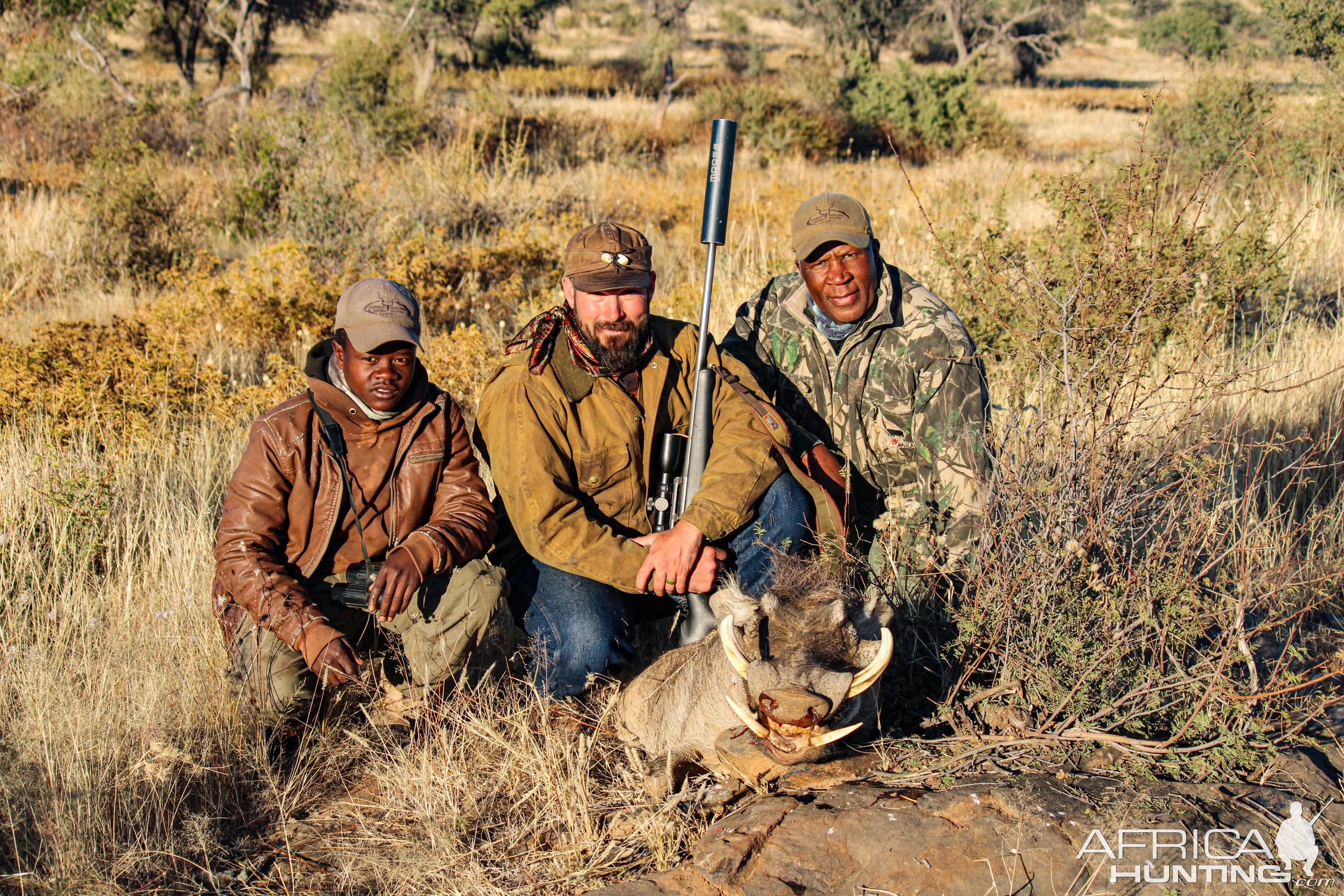 Warthog Hunting Namibia