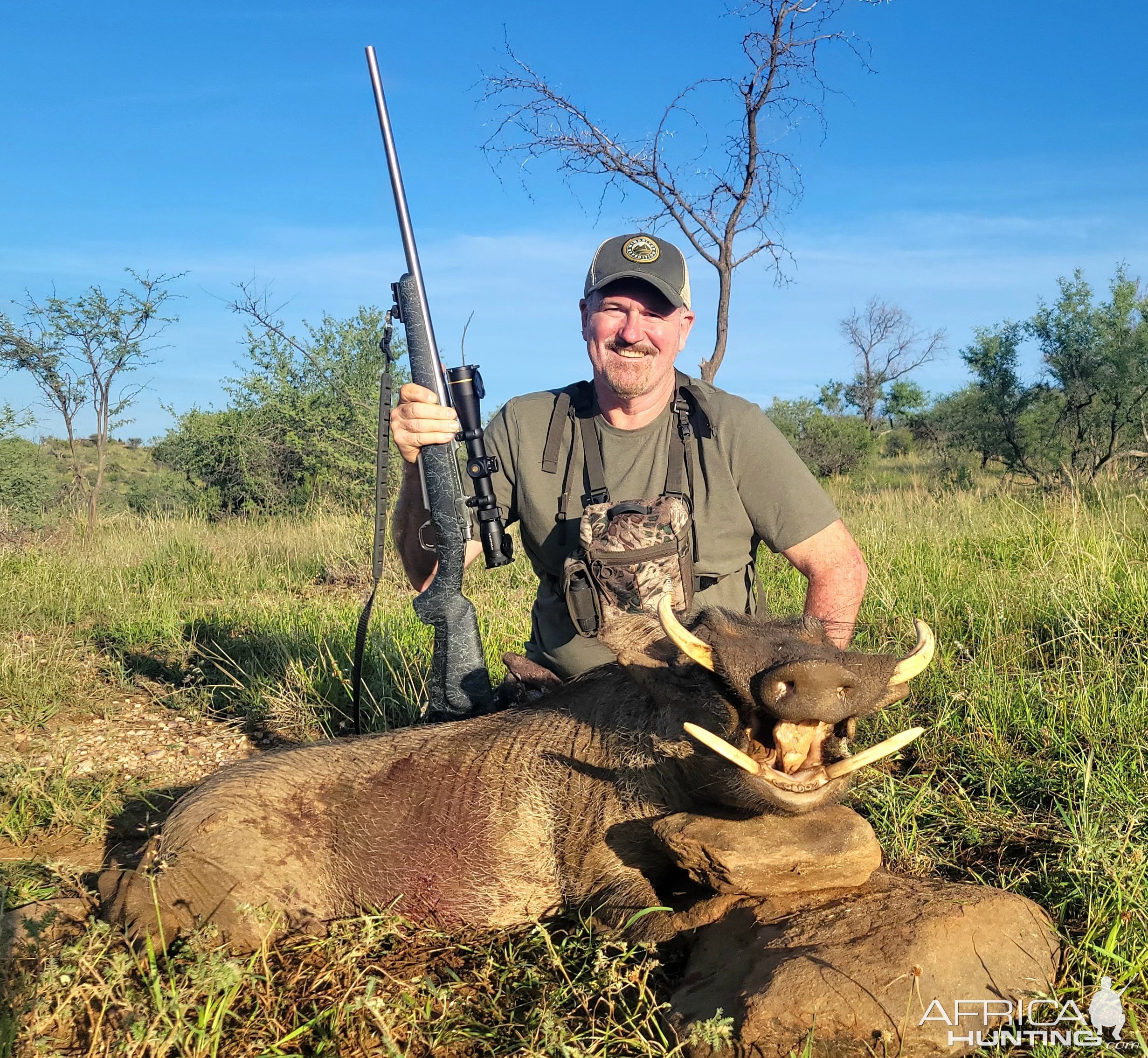 Warthog Hunting Namibia