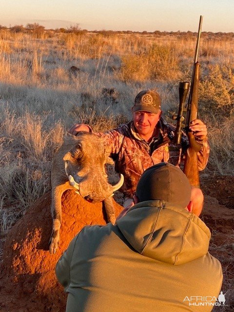 Warthog Hunting Northern Cape South Africa