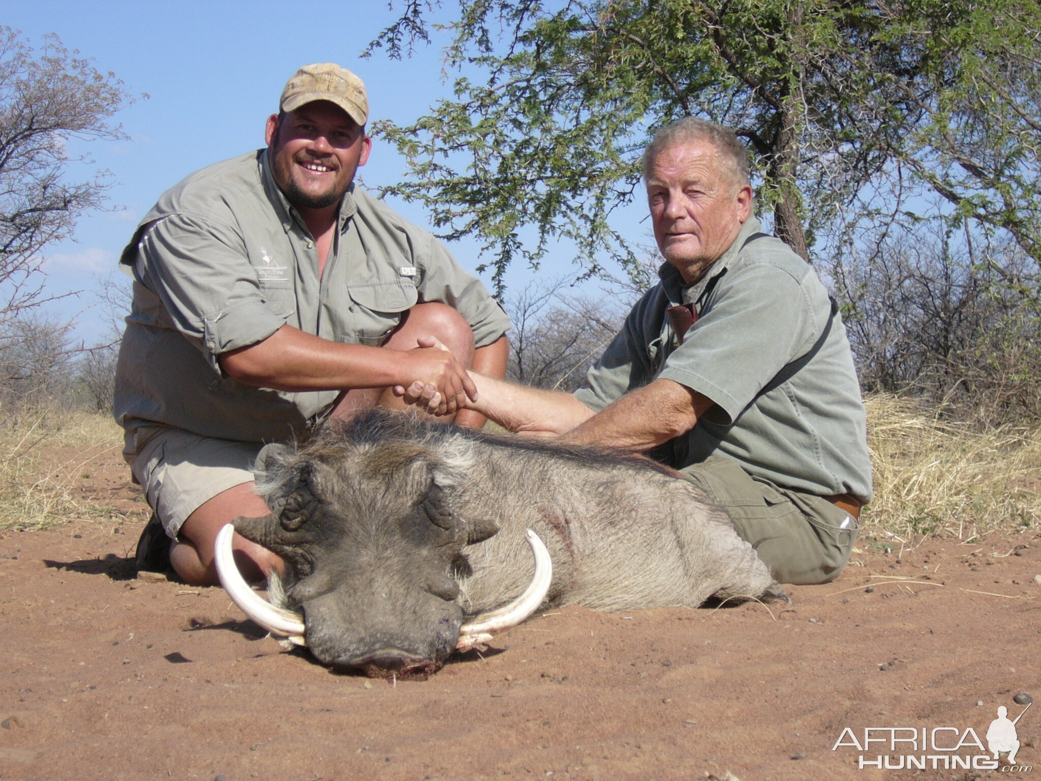 Warthog Hunting South Africa