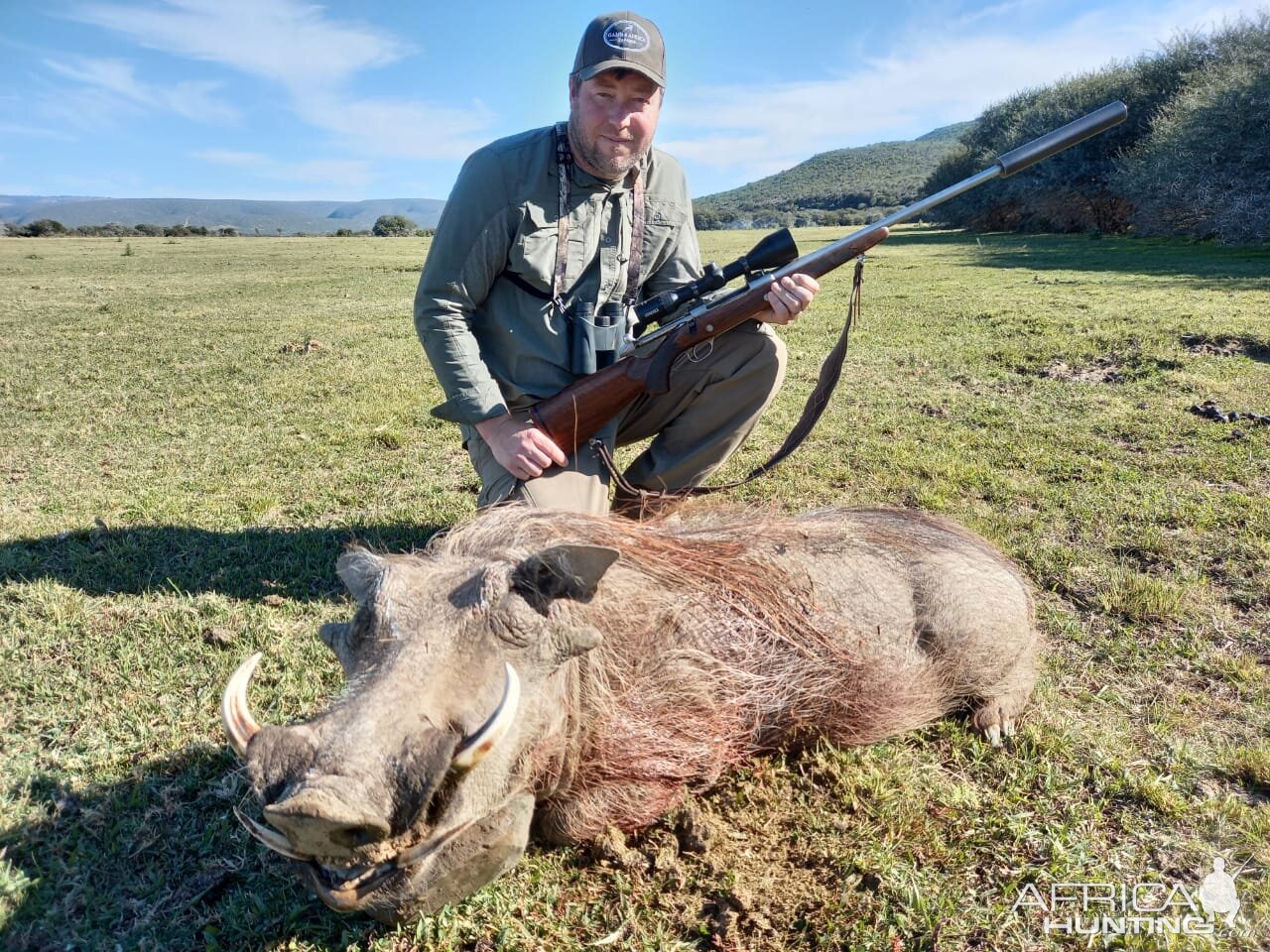 Warthog Hunting South Africa