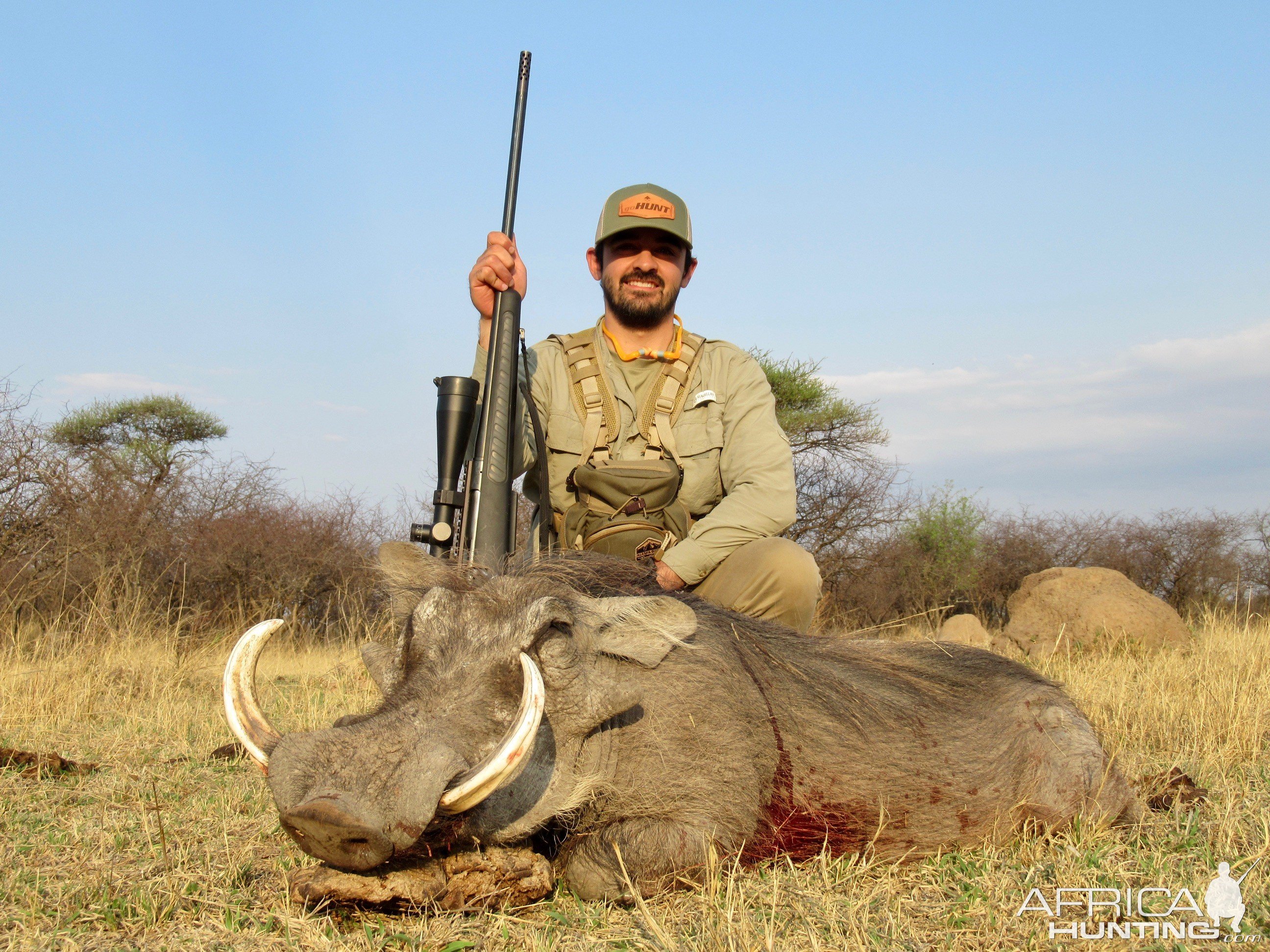 Warthog Hunting South Africa