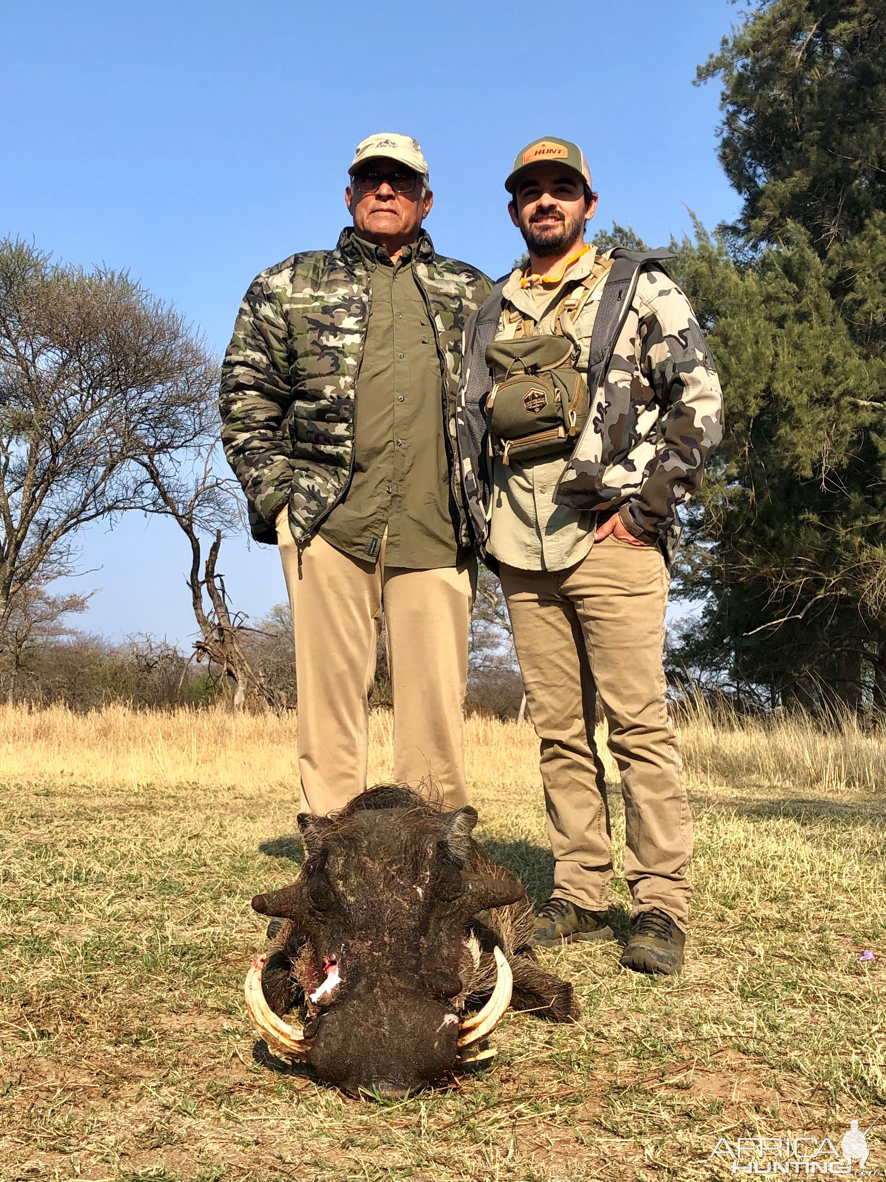 Warthog Hunting South Africa