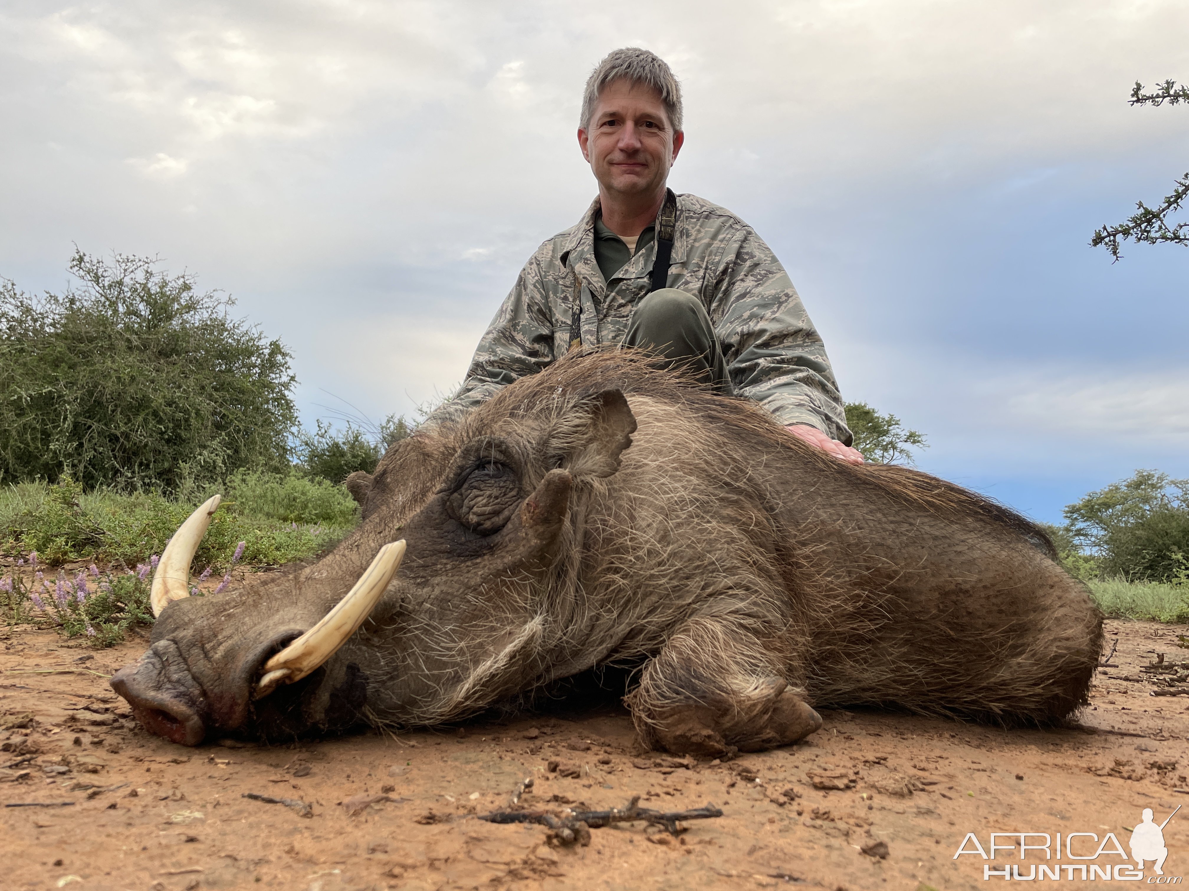 Warthog Hunting South Africa