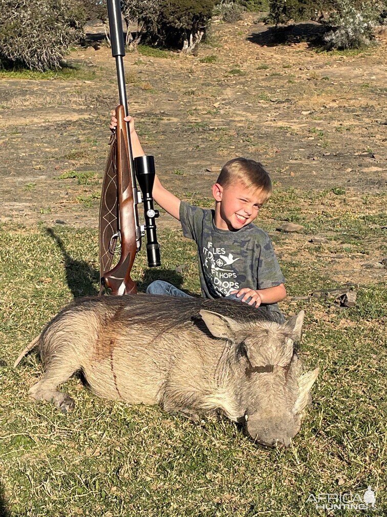 Warthog Hunting South Africa