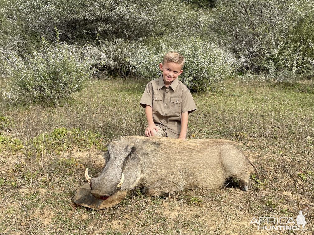 Warthog Hunting South Africa