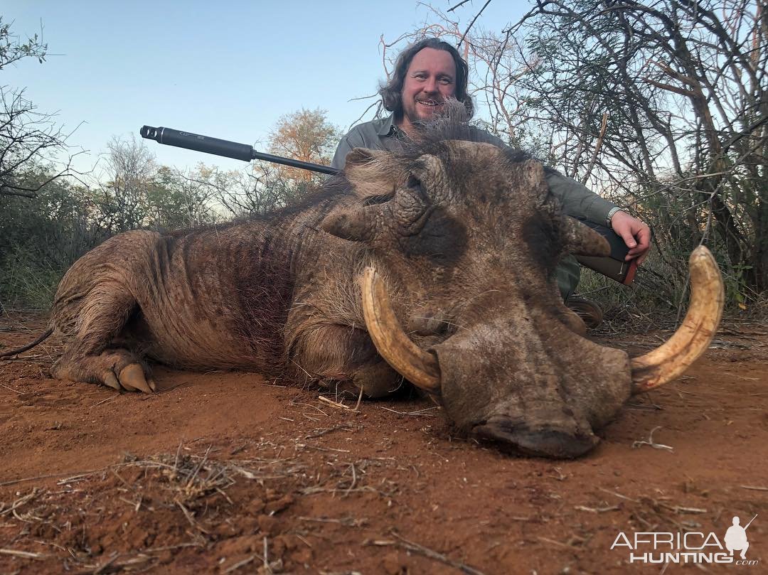 Warthog Hunting South Africa | AfricaHunting.com