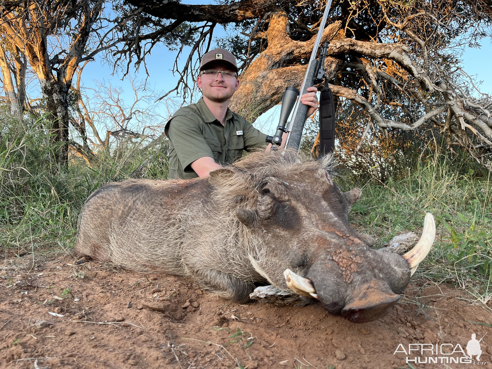 Warthog Hunting South Africa