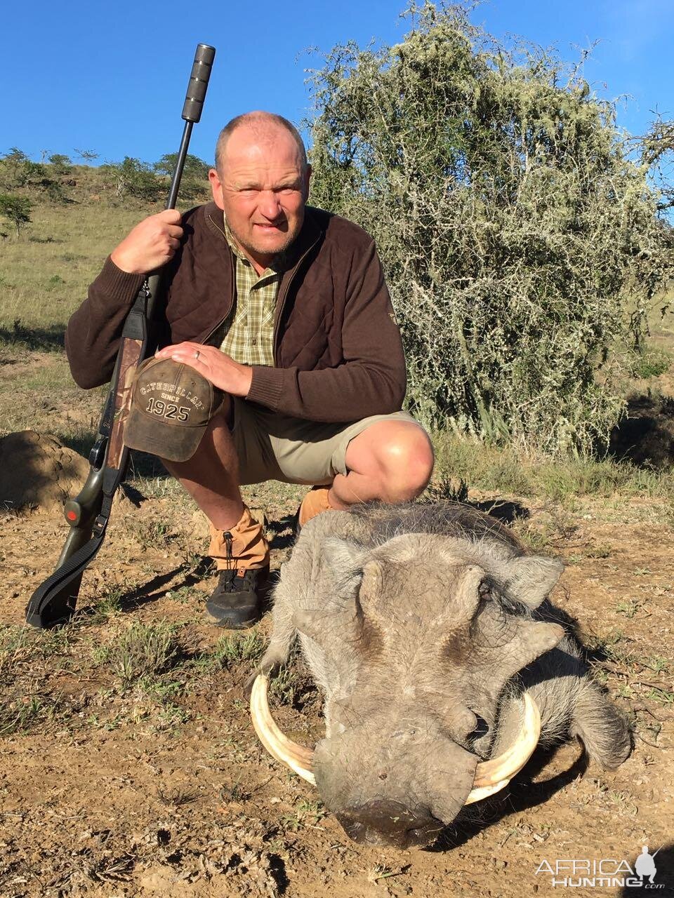 Warthog Hunting South Africa