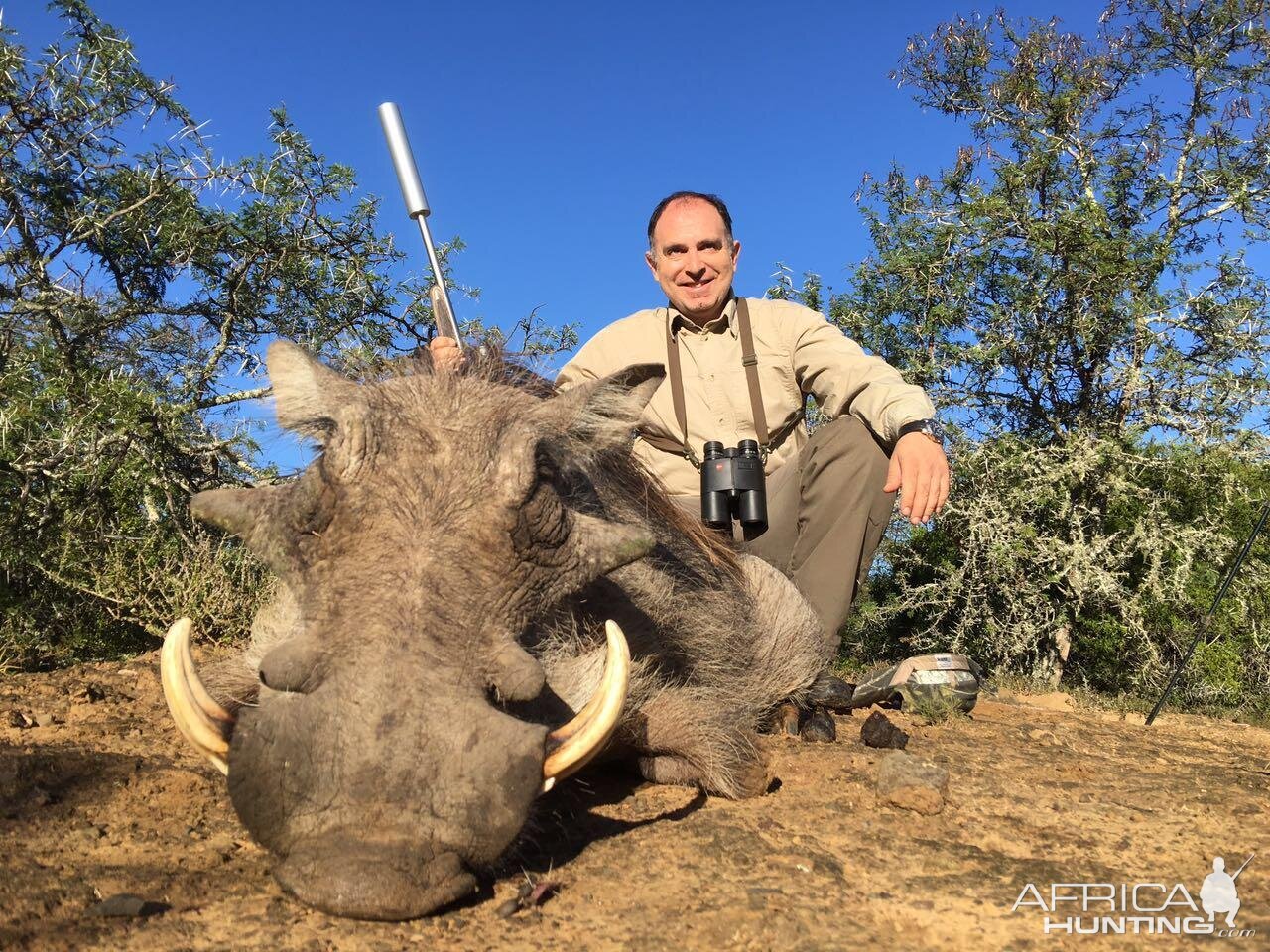 Warthog Hunting South Africa | AfricaHunting.com