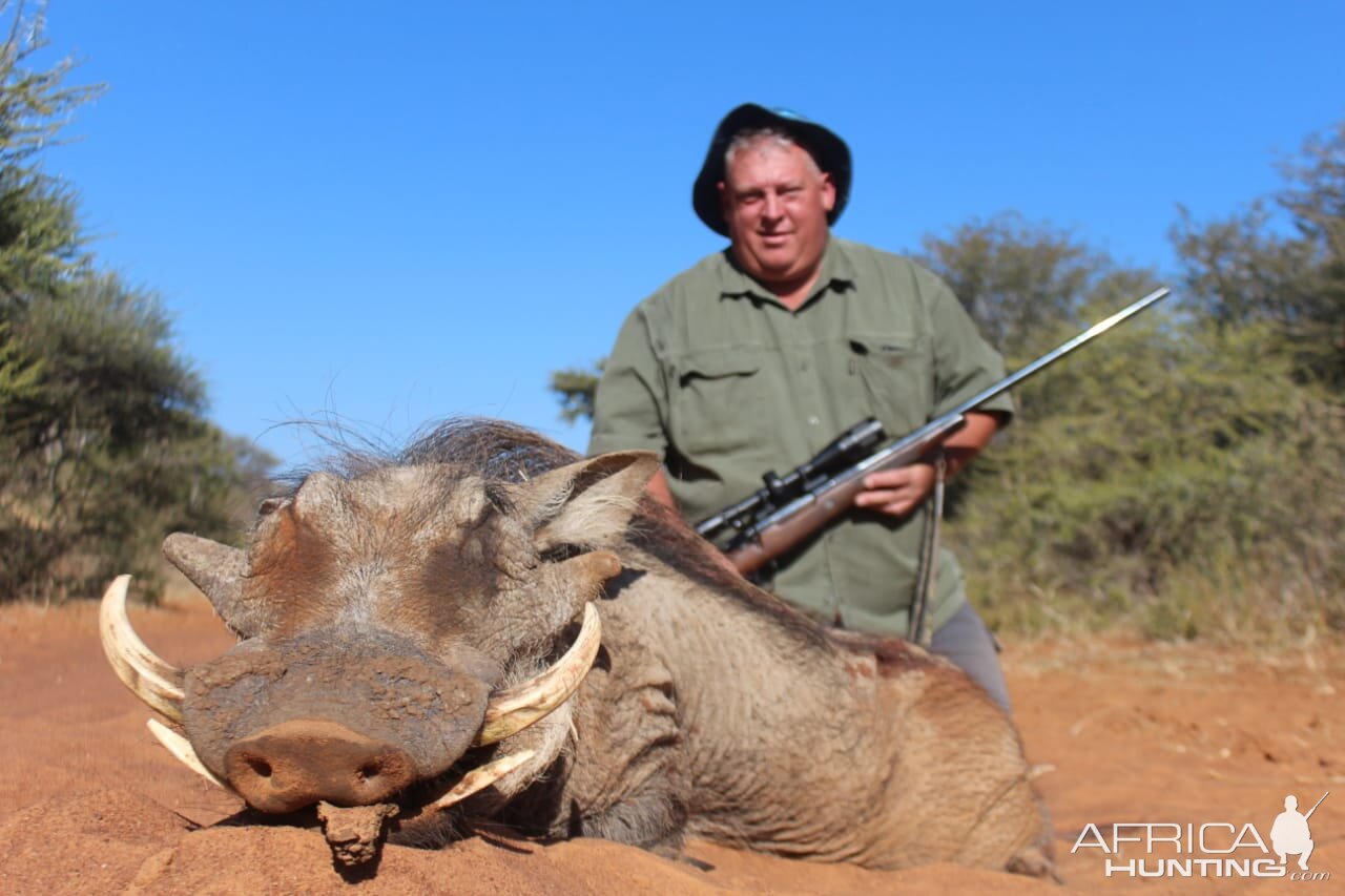 Warthog Hunting South Africa